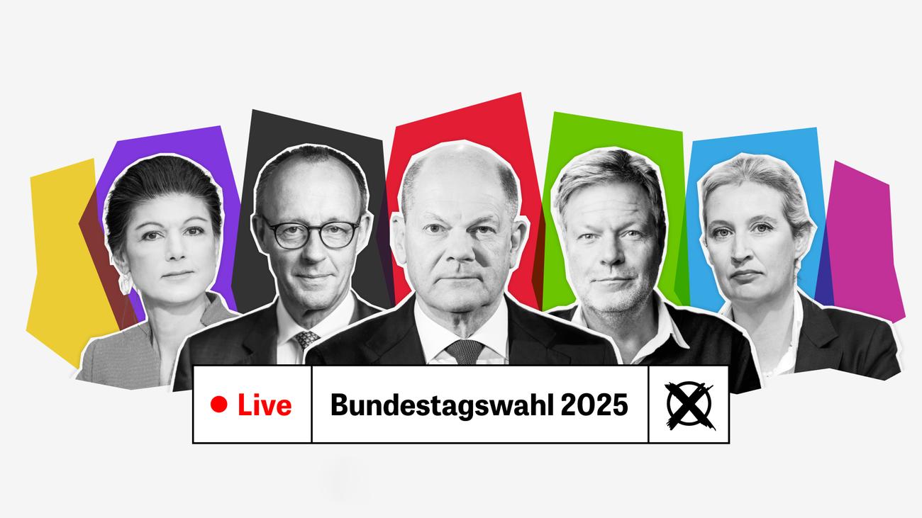 Bundestag Seçimleri, Canlı Yayın, ZEIT ONLINE, YouTube, Siyasi Bilimciler