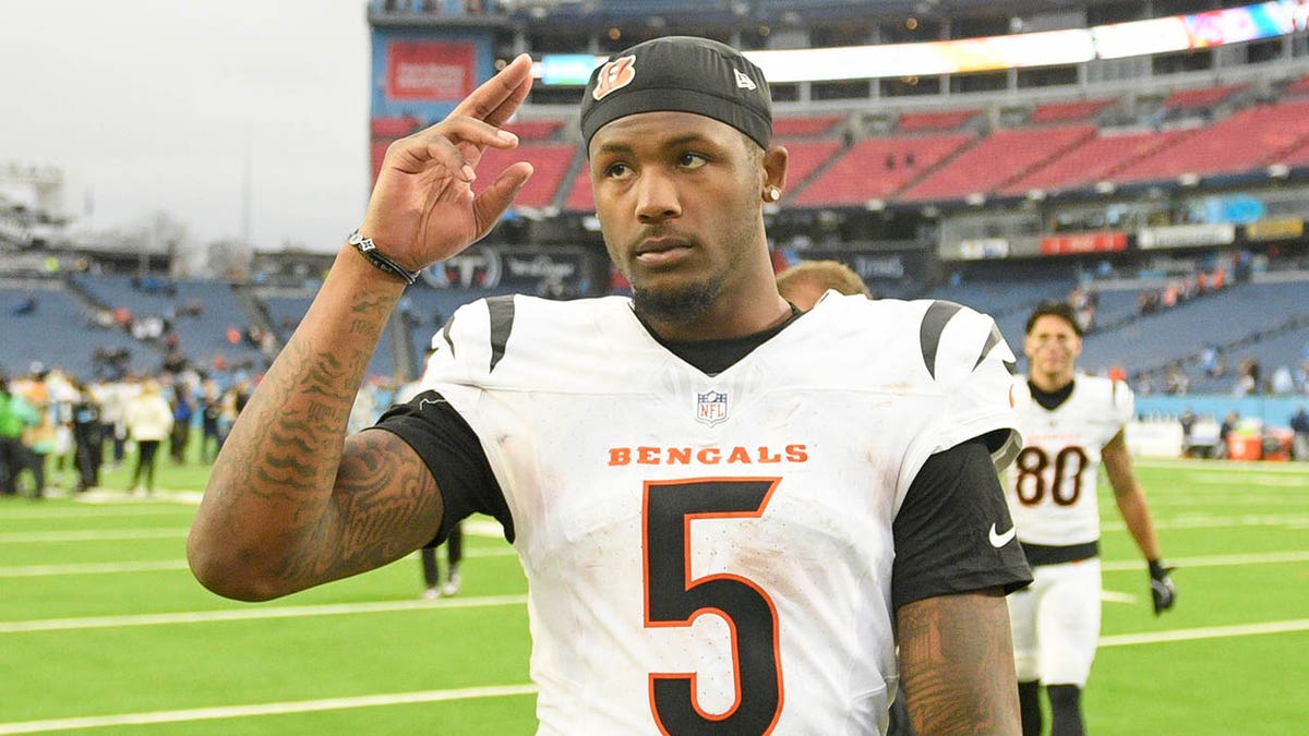 Cincinnati Bengals, Tee Higgins, Franchise Tag, NFL, Joe Burrow, Ja'Marr Chase