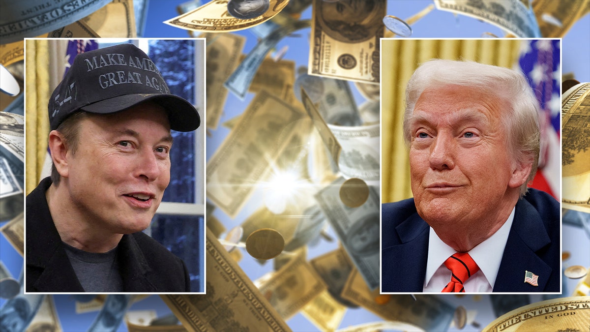 Hükümet Verimliliği Bakanlığı, Trump yönetimi, departman, TAS, bütçe, ödeme izlenebilirliği, federal harcamalar, federal kurtarma, sözleşme iptalleri