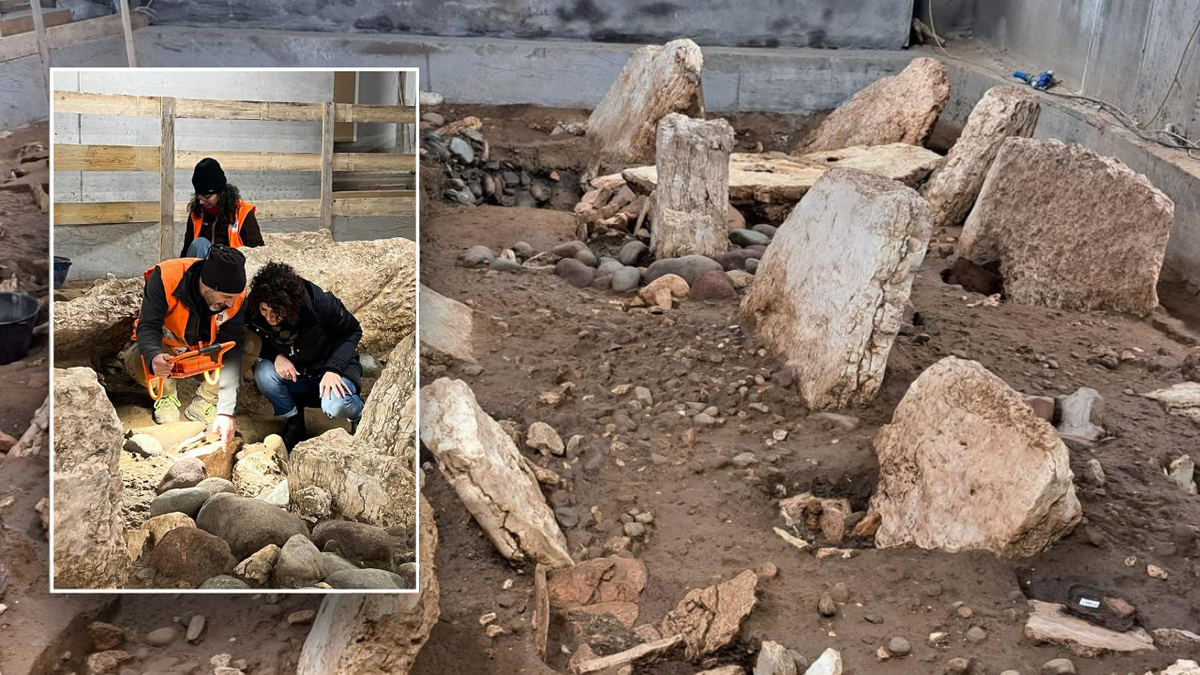 İtalya'da bulunan antik kent, Demir Çağı nekropolü, Trento, arkeoloji, cenaze törenleri, Tunç Çağı taşları, cenaze eşyaları, sosyal statü, kültürel ilişkiler