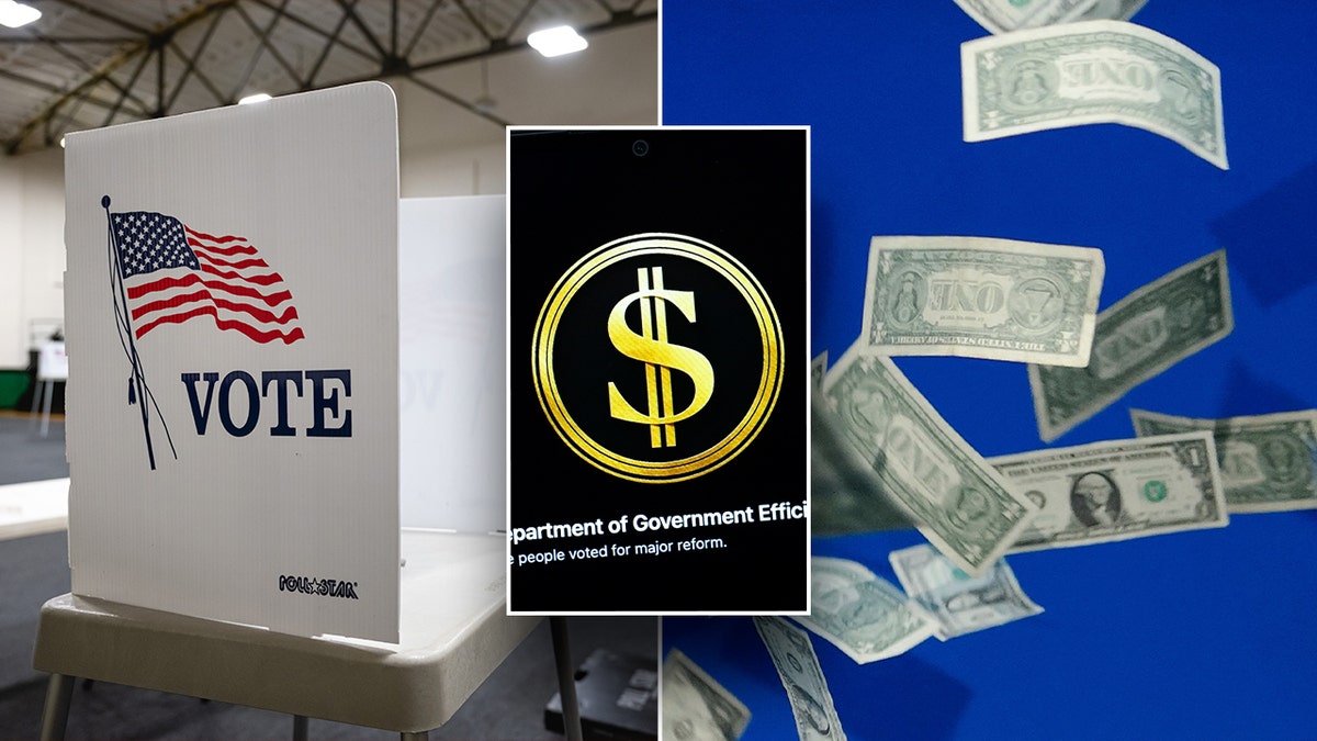 DOGE senatörü, Cumhurbaşkanlığı Seçim Fonu, vergi ödemeleri, Amerikan siyaseti, seçim kampanyası fonları