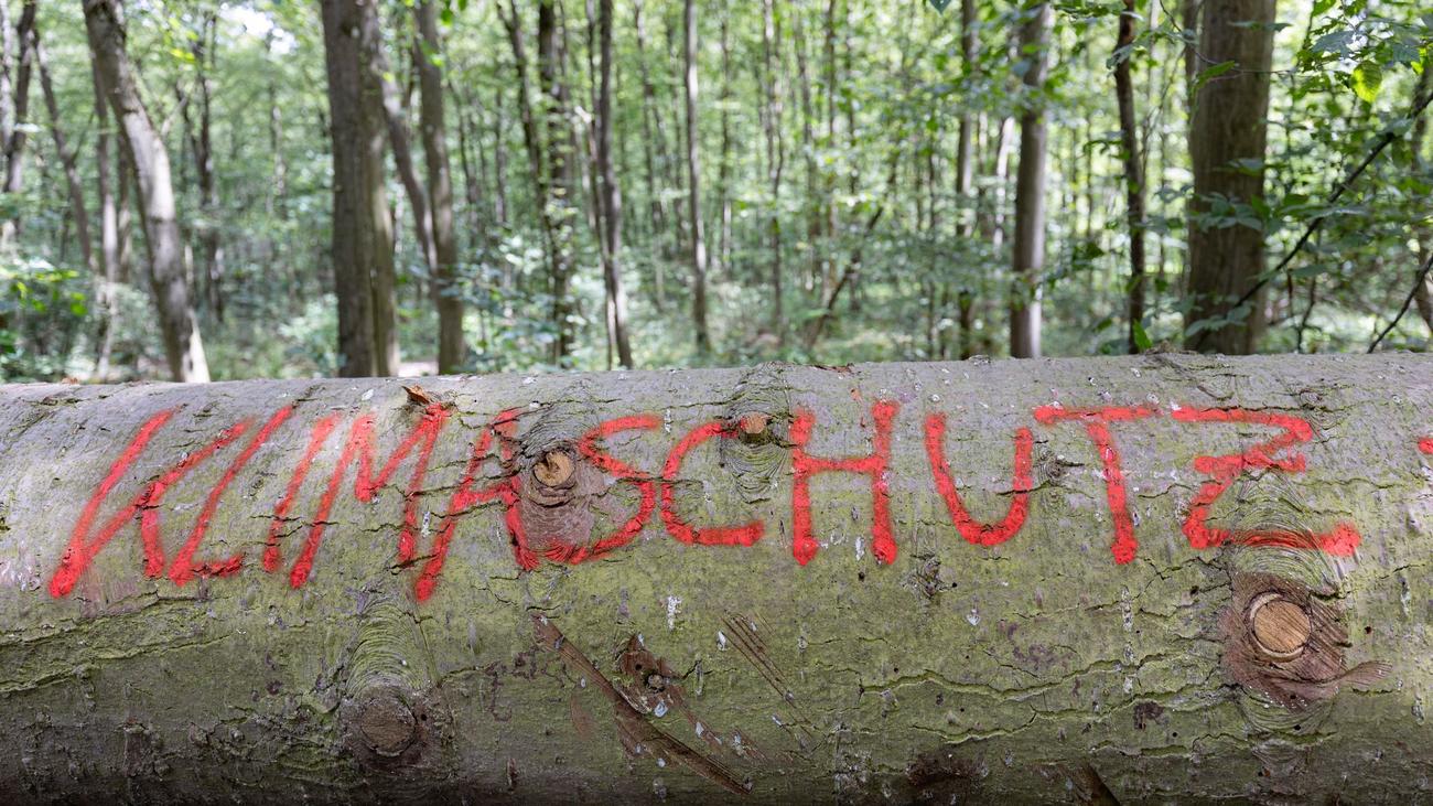 Sachsen-Anhalt Çevre Ödülü, Çevre Koruma, İklim Koruma, Sürdürülebilirlik, Yenilik