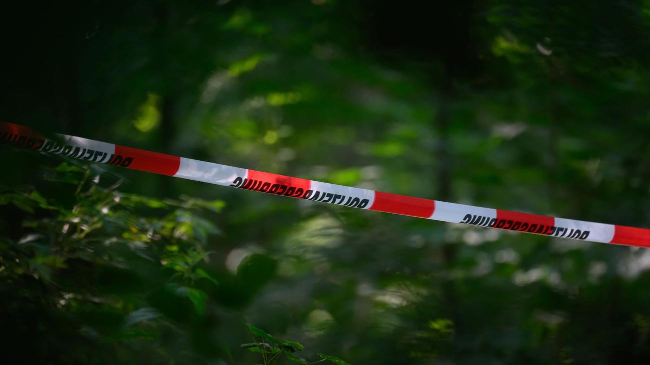 Yangın çıkmış ceset, Ober-Olmer Wald, Mainz, Suç, İntihar, Kimliği bilinmeyen ceset