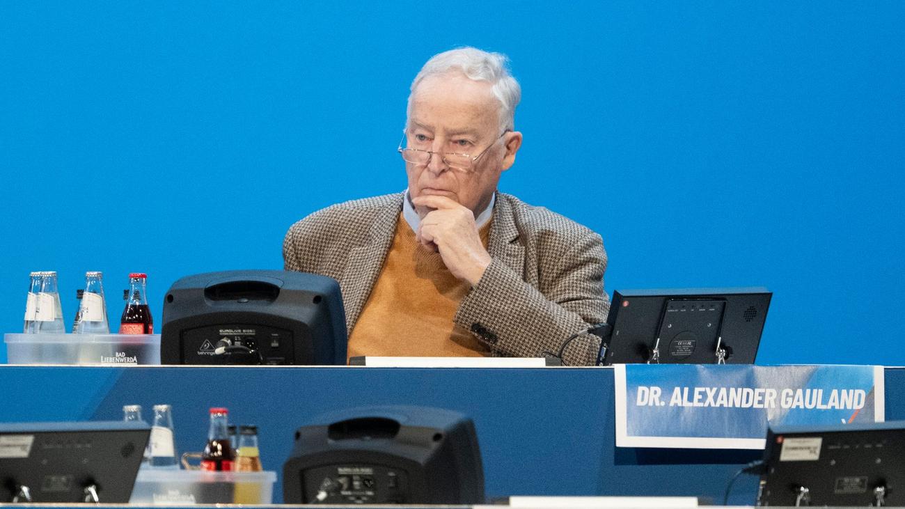 Alice Weidel, Alexander Gauland, AfD, Adolf Hitler, Kommunismus, Sozialismus, Geschichtsfälschung, Rechtsextremismus, Wahlkampf