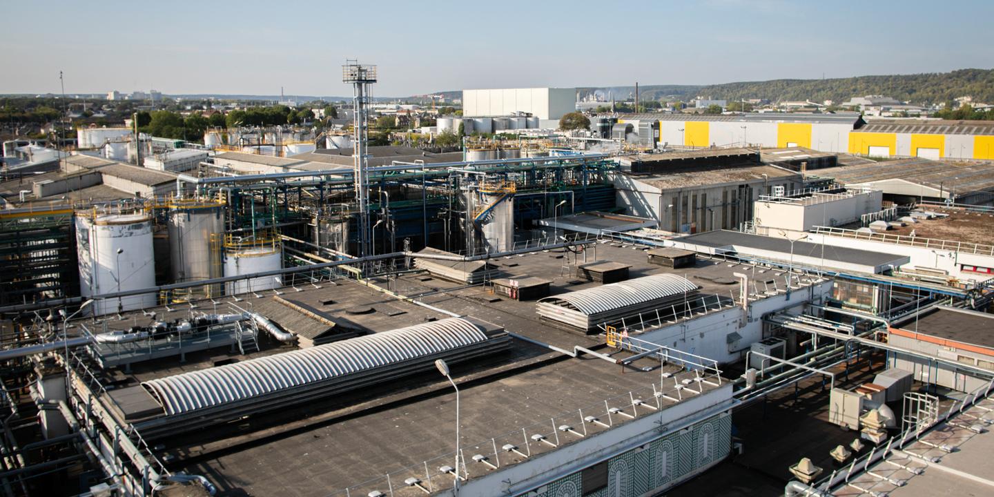 Lubrizol, Grev, Rouen, Le Havre, Plan de Sauvegarde de l'Emploi, Incendie de Produits Chimiques, Pollution, Santé Publique