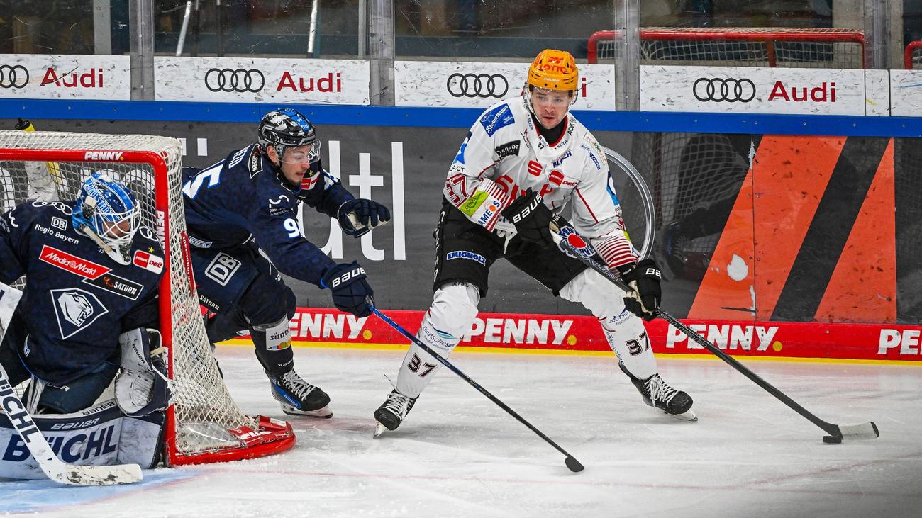 ERC Ingolstadt, Philipp Preto, Eishockey, Vertrag, Sportdirektor Tim Regan, DEL, Bremerhaven