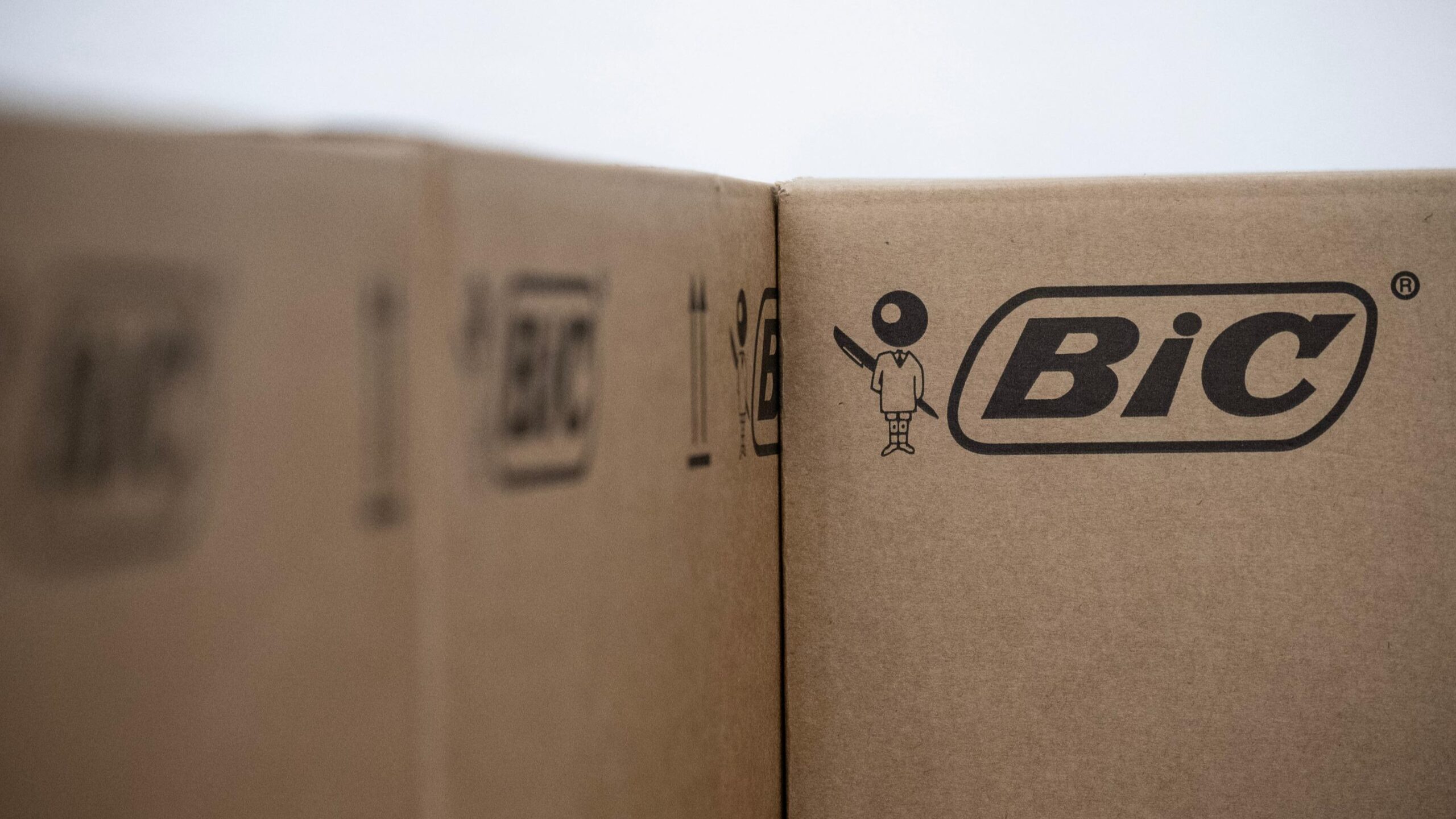 Bic, tek kullanımlık plastik kalemler, çakmaklar ve tıraş makineleri, gelirler, bilanço, finansal sonuçlar, 2024