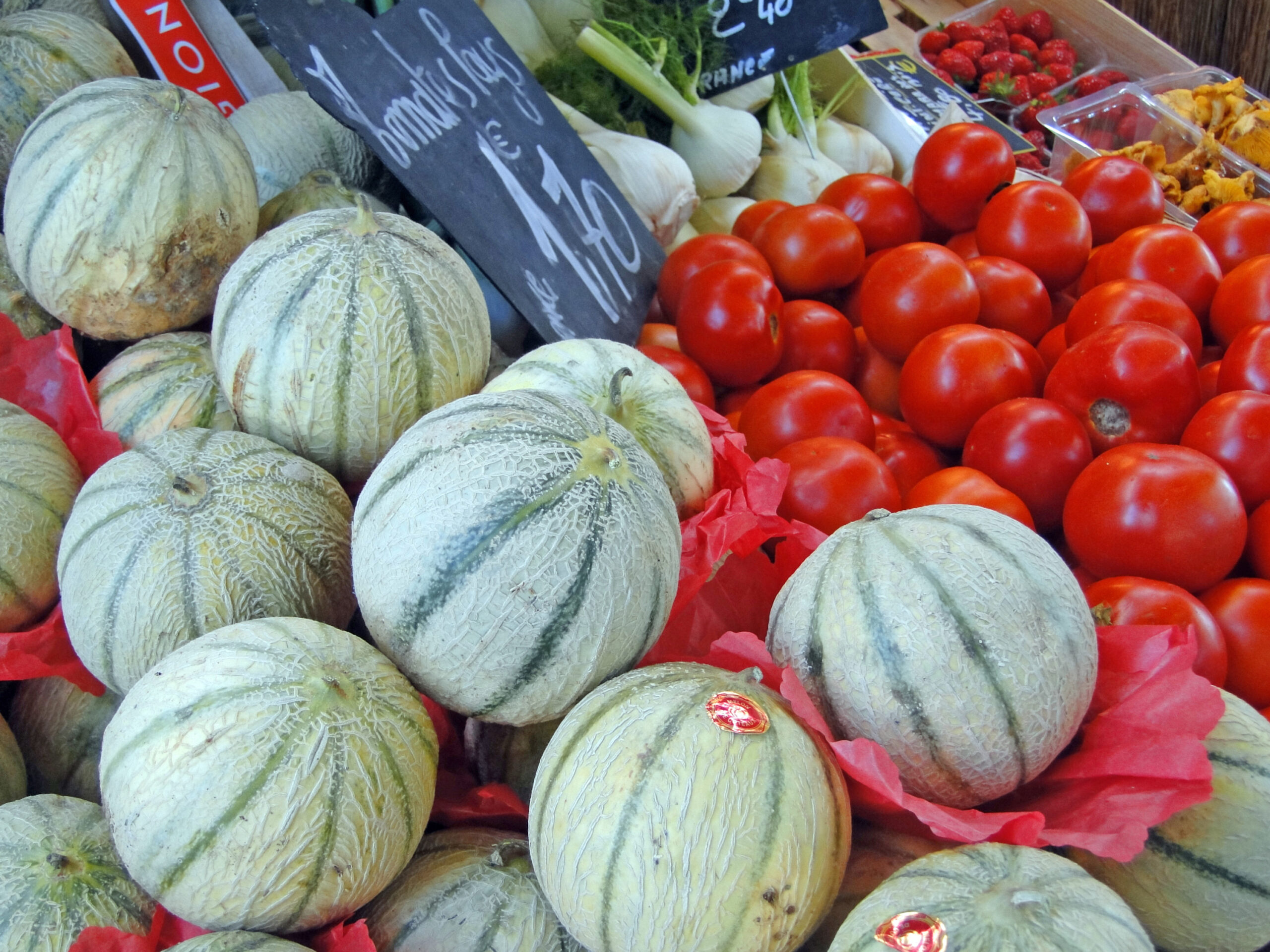 Cavaillon kavunu, IGP etiketli Cavaillon, Provence kavunu, Fransız melonu üretimi, tarım zorlukları