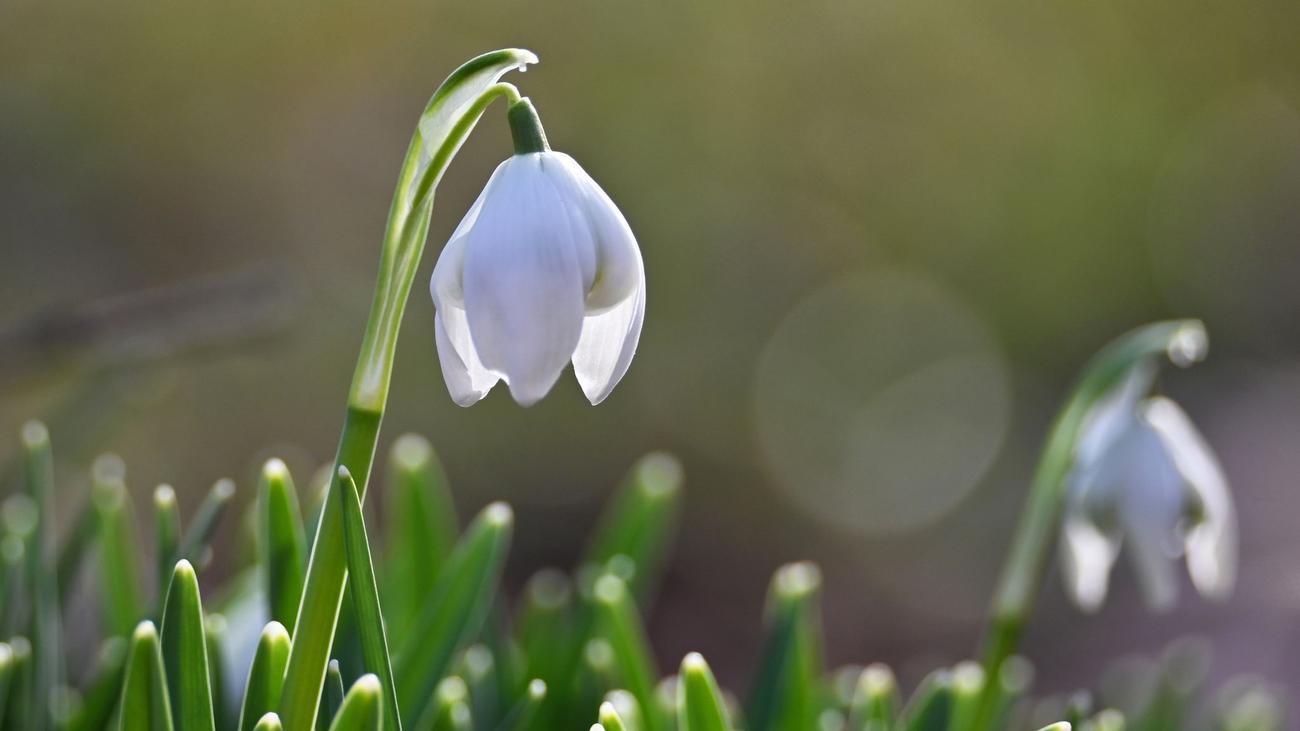 Hava Durumu, Hessen, DWD, Freitag, Samstag, Sonnenschein, Regen, Temperaturen, Glätte, Bewölkung