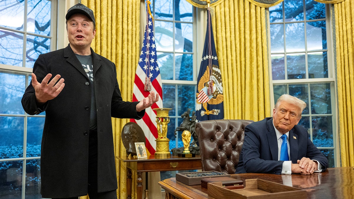 federal bütçe, Elon Musk, DOGE, hükümet israfı, maliyet kesintileri, Cumhuriyetçi milletvekilleri