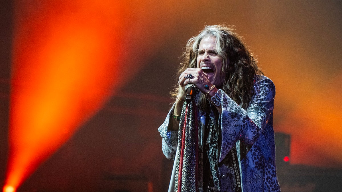 Guns N' Roses, Steven Tyler, Aerosmith, emeklilik, larinks yaralanması, müzik, vokal performansı, sahne performansı, bağış konseri