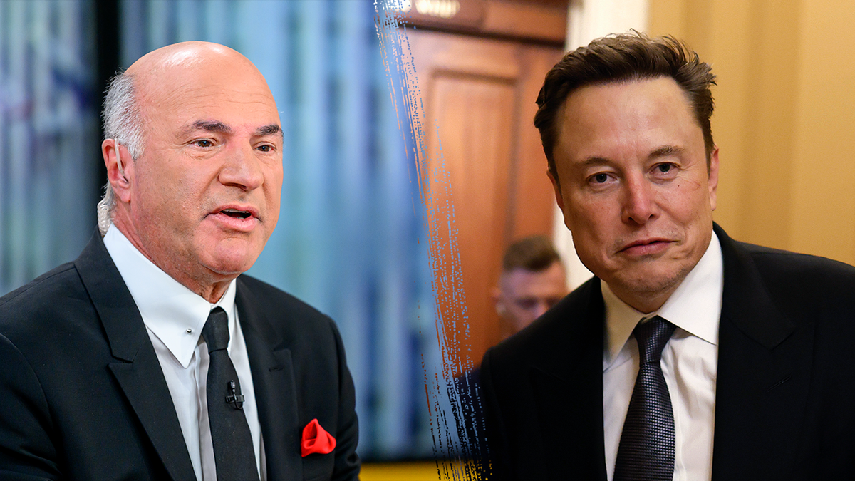 DOGE, Kevin O'Leary, CNN, Abby Phillip, Sara Sidner, Elon Musk, Trump, Government Waste
