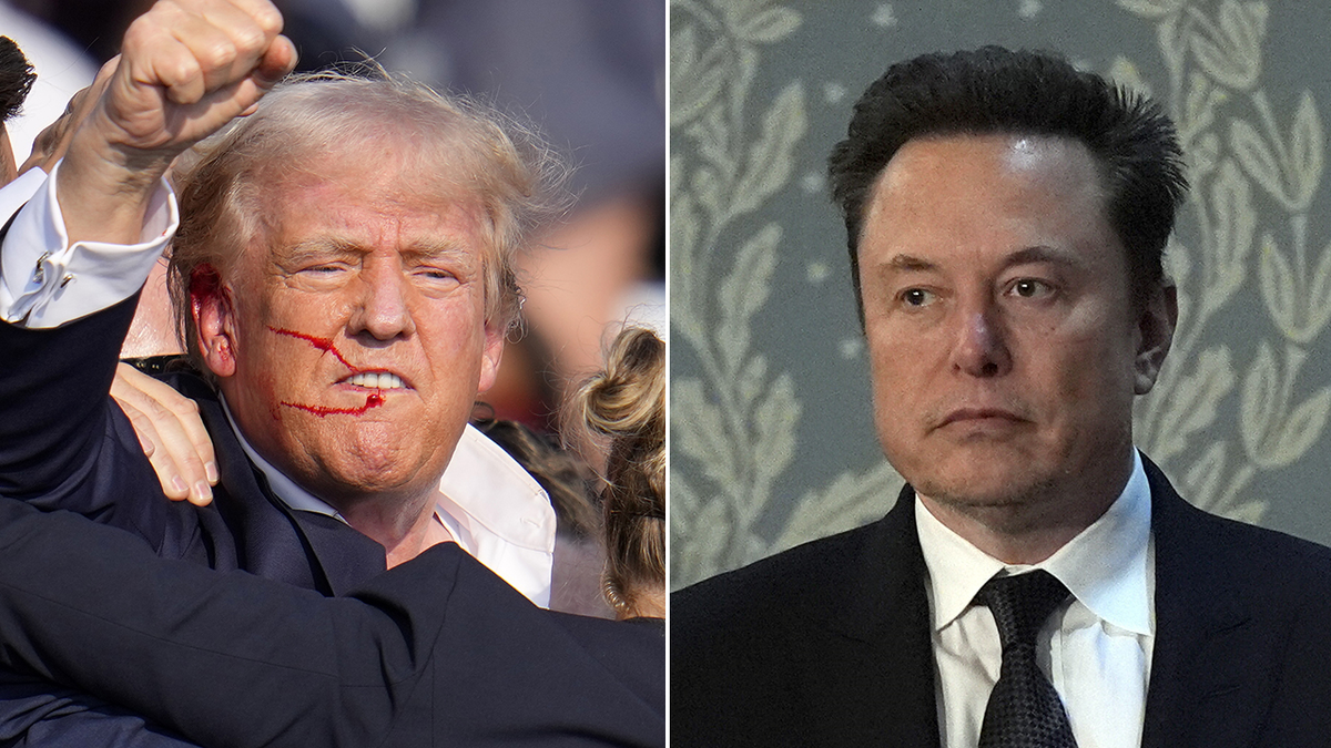 Elon Musk, Trump, Fox News, Endorsement, Democrats
