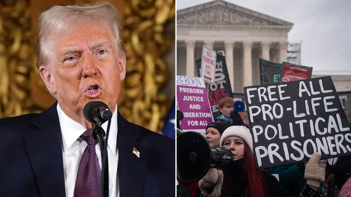 Pro-hayat hareketi, kürtaj karşıtı aktivistler, hamilelik, kürtaja alternatifler, pro-hayat fonu, siyasi tartışmalar, ABD, Donald Trump