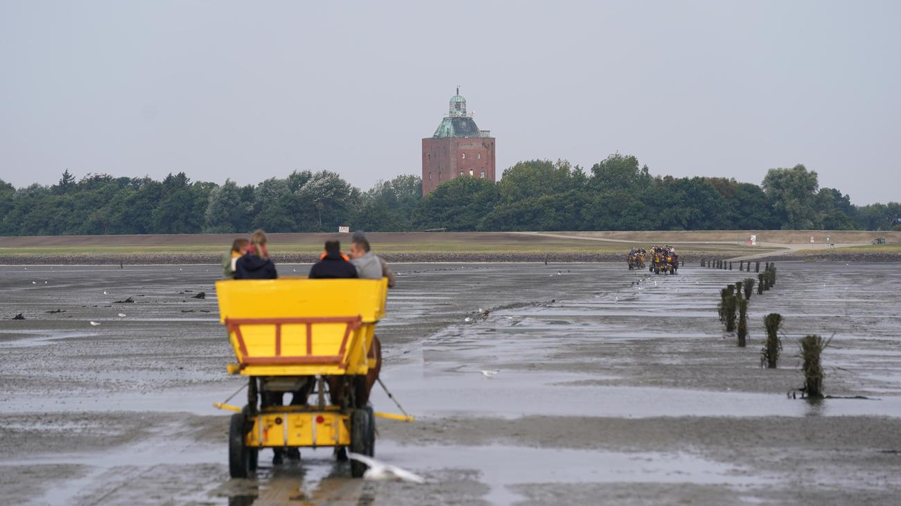 Neuwerk, Cuxhaven, Nordsee, Leuchtturm, Gaststätten, Besucher, Hamburg, Senat, AfD, Bürgerschaftswahl