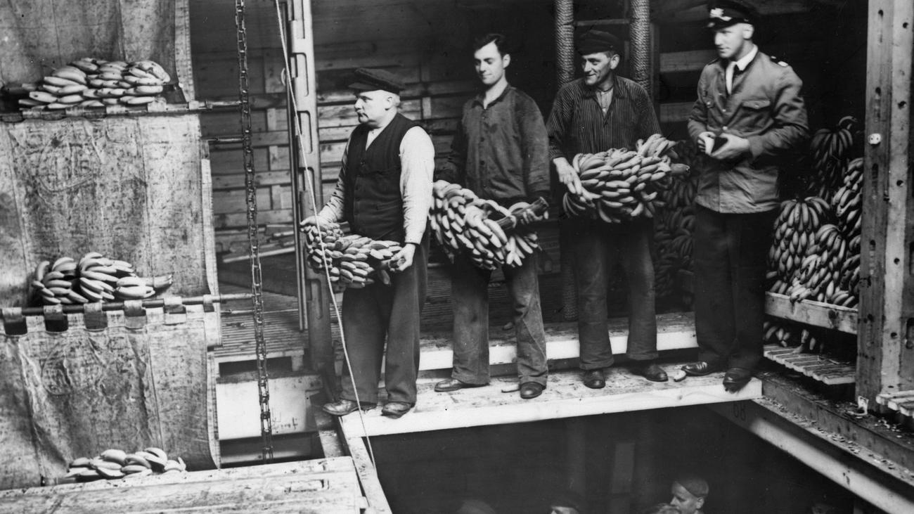 Hamburg, araştırma merkezi, sömürgecilik, (post)kolonyal dönem, Hamburg ve erken küreselleşme, Jürgen Zimmerer, senato, milletvekili meclisi, araştırma bütçesi, Hamburg Üniversitesi