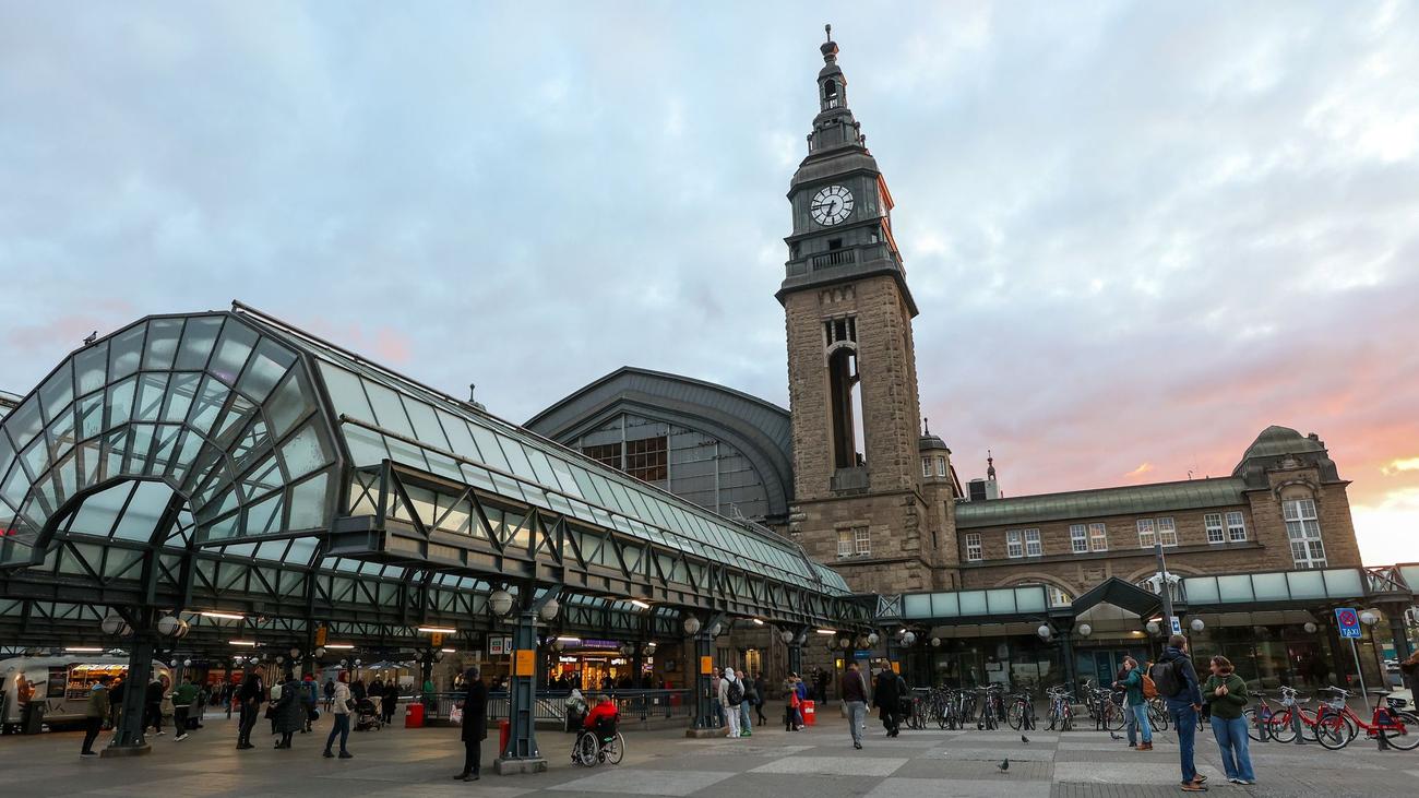 Hamburg Hauptbahnhof, Rollstuhlfahrer, Gleisunfall, Kopfplatzwunde, Bundespolizei, Zeugen, Rettungswagen, Krankenhaus, Videoaufnahmen