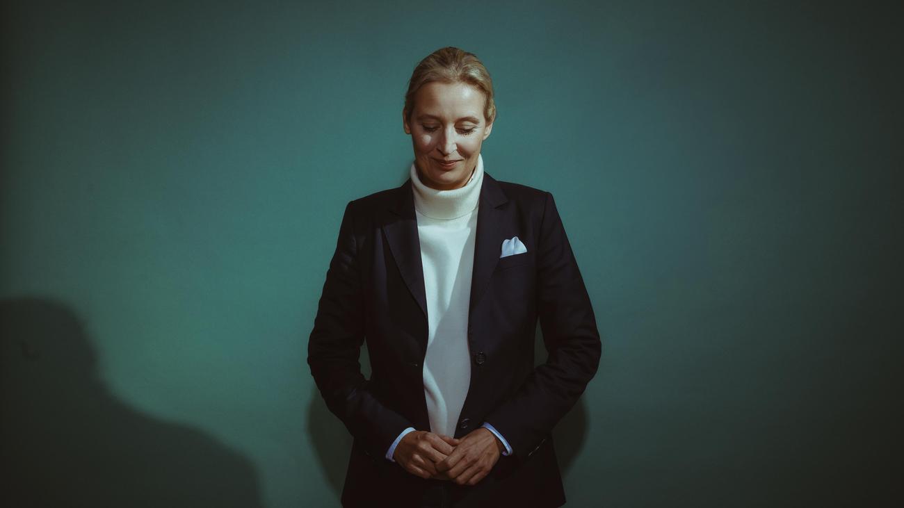 AfD, Alice Weidel, Viktor Orbán, Macaristan, Almanya, Uluslararası İlişkiler, Siyasi Görüşme, Seçim Kampanyası