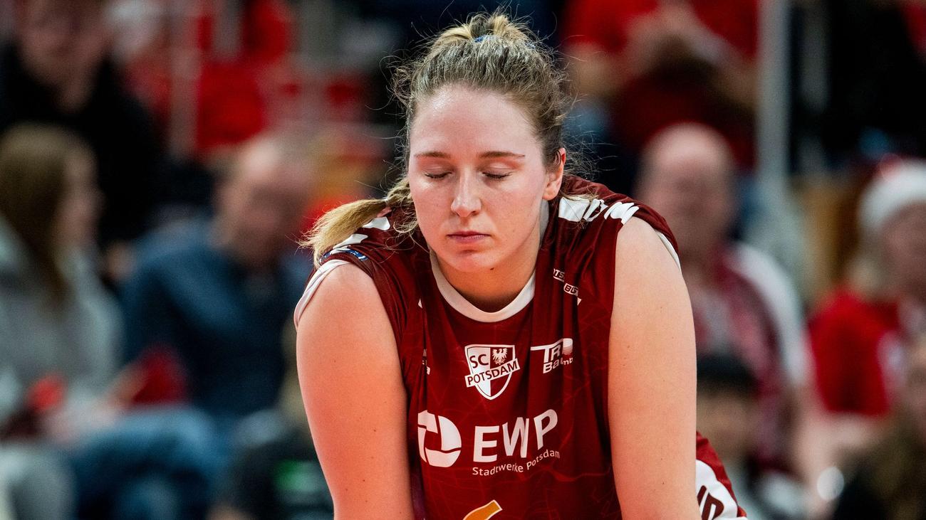 Avrupa Kupası, Challenge Kupası, SC Potsdam, VC Rom, Lara Darowski, Riccardo Boieri, Bundesliga, İtalya Serie A