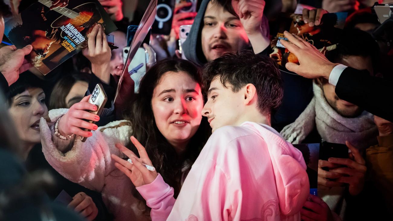 Berlinale, Berlinale 2023, Filmfestivalleri, Sinema, Bilet satışı, Kırmızı Halı, Hollywood yıldızları, Timothée Chalamet