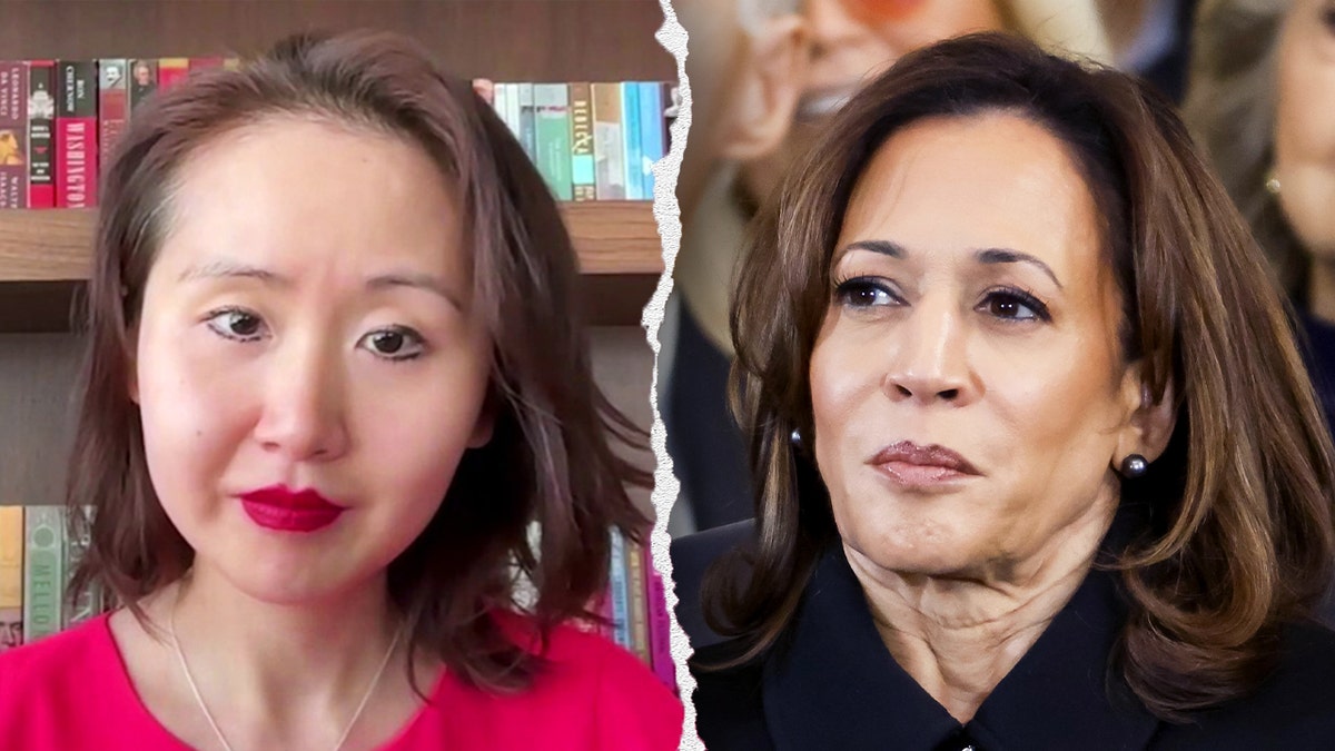 Lindy Li, Demokrat Parti, siyaset stratejisti, Fox News Digital, Piers Morgan, X, Kamala Harris, seçmen sahtekarlığı, Demokrat foncuları, 2024 seçimleri, seçim sonuçu, DEI