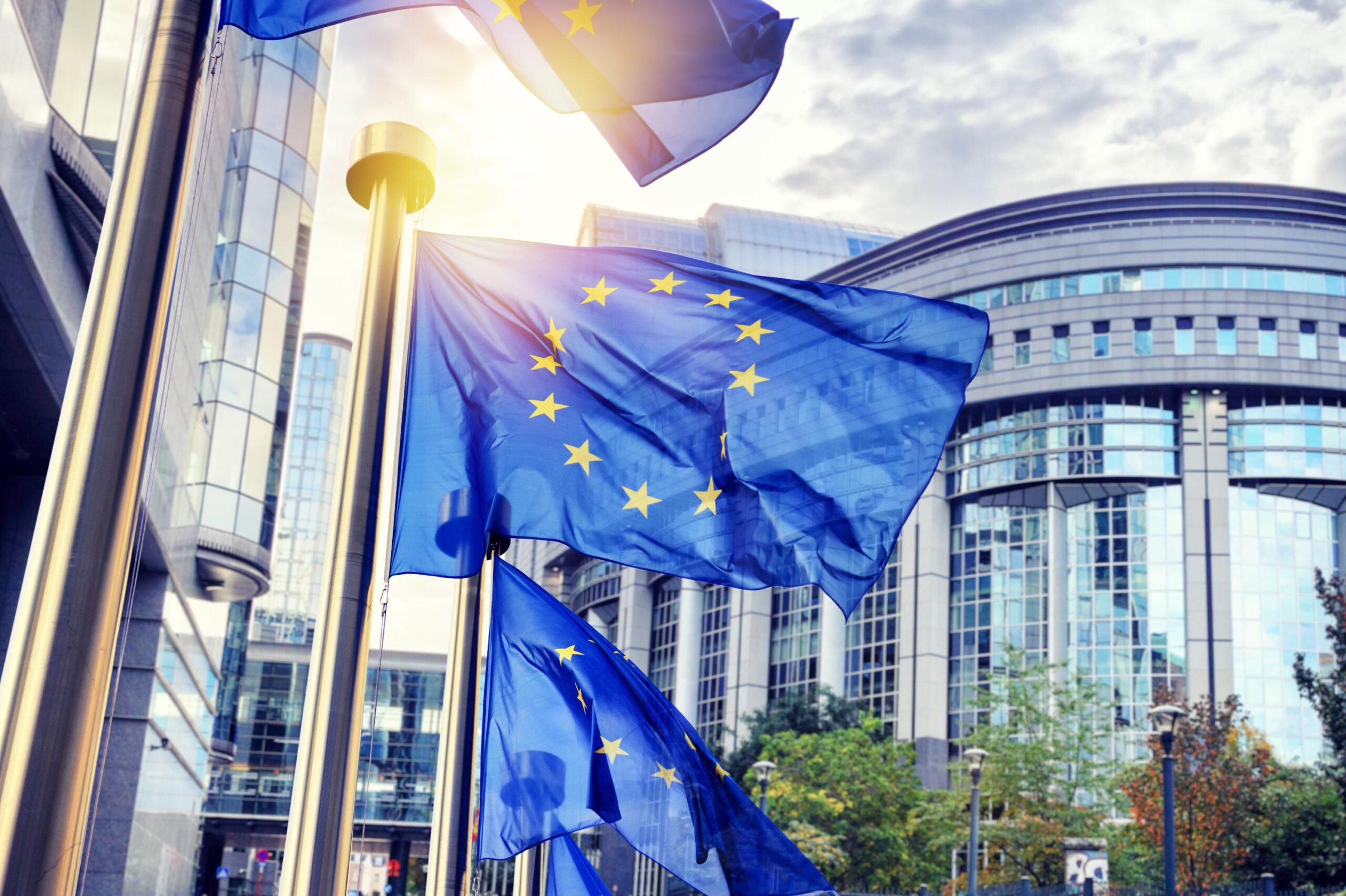 Euro Bölgesi, özel sektör ekonomik faaliyeti, hizmet sektöründeki büyüme, Fransa, S&P Global PMI Endeksi, Ciro de la Rubia, Hamburg Commercial Bank, Almanya, Fransa