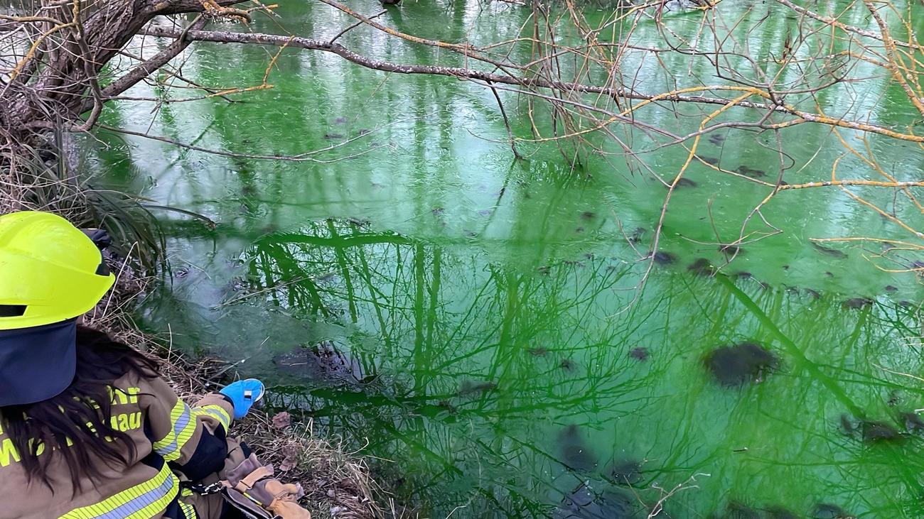 Mühlbach, Wörrstadt, Alzey-Worms, Gewässerverunreinigung, Fluoreszenzfarbstoff, Uranin, Landesamt für Umwelt (LfU), Naturschutzgebiet