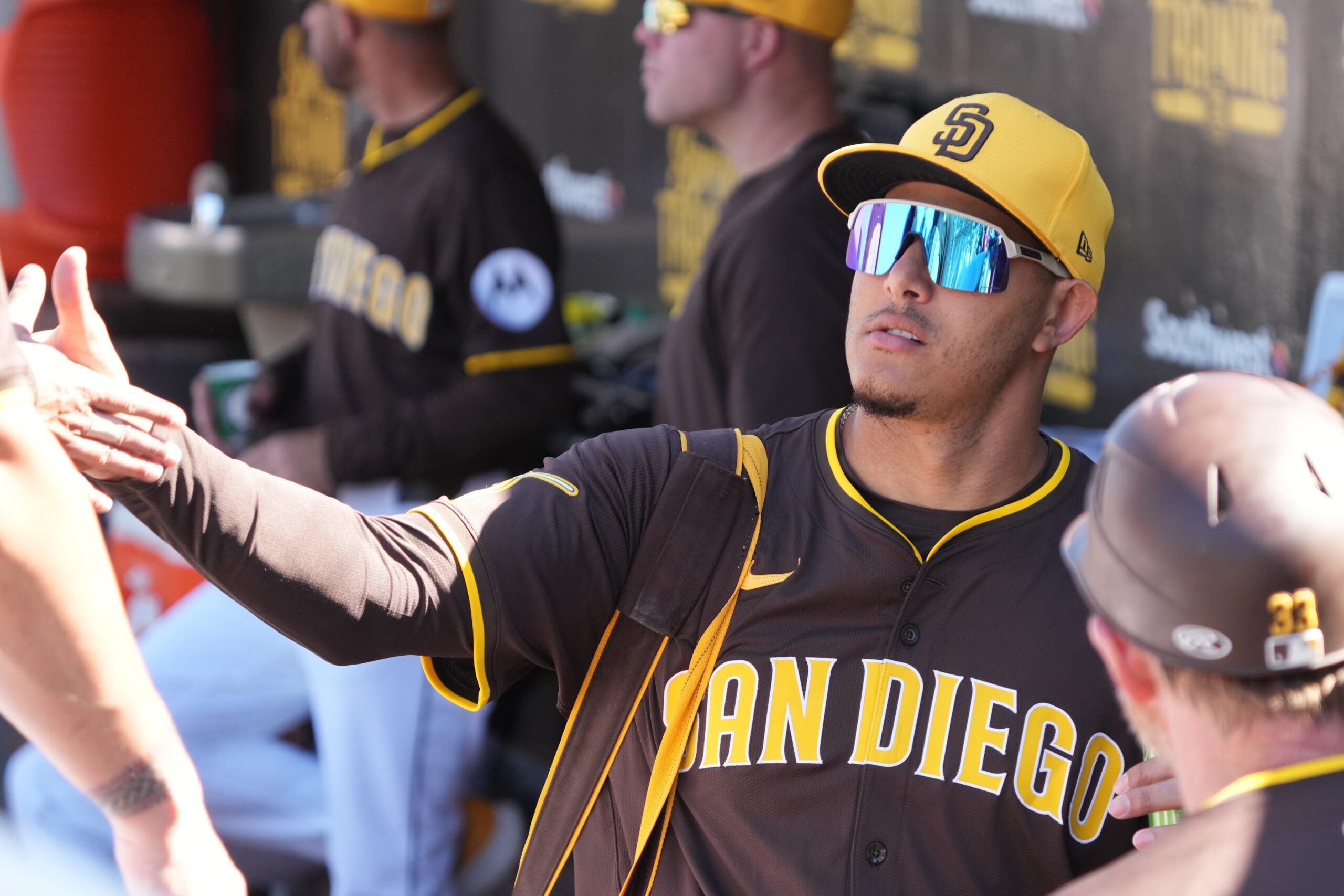 San Diego Padres, Los Angeles Dodgers, MLB, World Series, National League, Mike Shildt, Manny Machado, Xander Bogaerts, Roki Sasaki, Yu Darvish, Dylan Cease, Michael King, Luis Arraez, Nick Pivetta, A.J. Preller, Jurickson Profar, Ha-Seong Kim, Jackson Merrill, Bob Melvin, baseball, playoffs, rivalry, season preview
