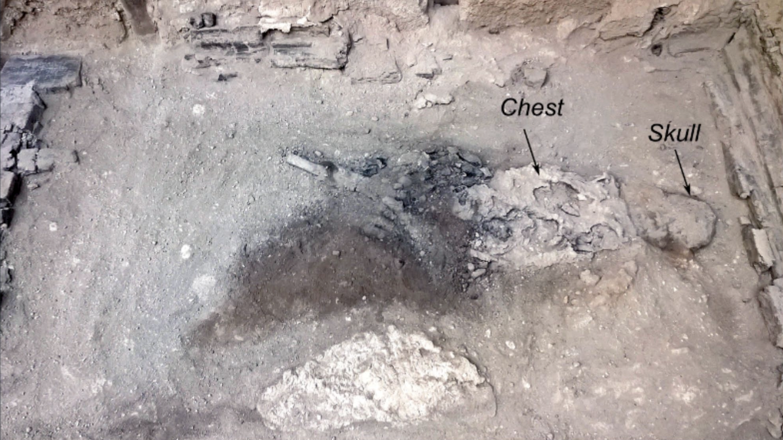 Arkeoloji, İnsan Beyni, Koruma, Vitrifikasyon, Vezüv Yanardağı, Pompei, Herkulaneum, Volkanik Patlama, Bilimsel Araştırma, Tarih, Roma İmparatorluğu, Antik Çağ, Kalıntılar, Obsidyen, Collegium Augustalium, Guido Giordano, Beyin Dokusu, Isı, Hızlı Soğuma, Yangın Akışı, Volkanik Kül

