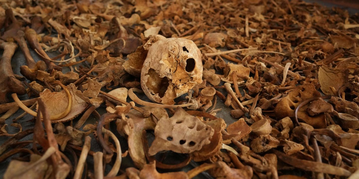 Ruanda soykırımı, Alphonse K., soykırım suçlaması, Butare, Fransa, tıbbi fakülte dekanı, Jean Kambanda, insanlığa karşı suçlar, Ruanda, soykırım, Tutsi, soykırım davası, soykırım zanlısı, Ulusal Terörle Mücadele Savcılığı, PNAT, soruşturma, gözaltı, 1994 Ruanda soykırımı, OCLCH

