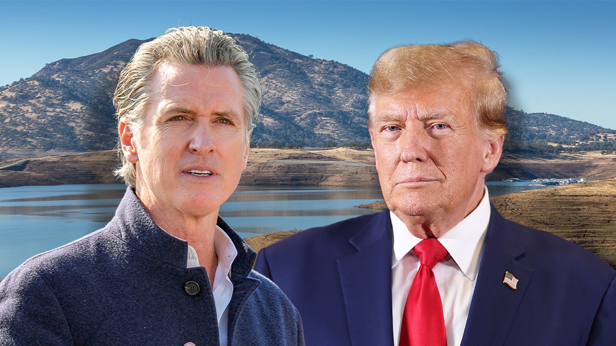 California wildfires, Gavin Newsom, Donald Trump, state of emergency, wildfire prevention, forest management, environmental regulations, disaster relief, California, yangınlar, acil durum, orman yönetimi, çevresel düzenlemeler, felaket yardımı, Kalifornia

