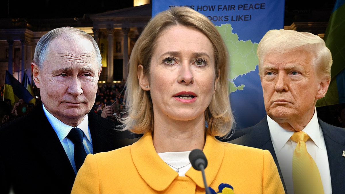 Avrupa Birliği, Kaja Kallas, Donald Trump, Ukrayna, Volodymyr Zelenskyy, Rusya, savaş, ekonomi, yaptırım, transatlantik ilişkiler, NATO, barış projesi, dış politika, uluslararası hukuk, enerji, enflasyon, yardım, müzakere
