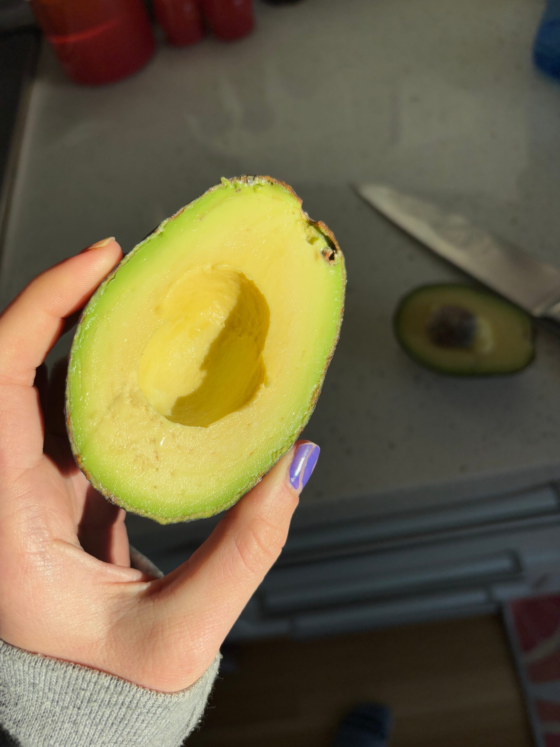 avokado, avokado tarihi, avokado yetiştiriciliği, El Gigante kaya sığınağı, Honduras, arkeoloji, tarım, bitki evrimi, Dolores Piperno, Amber VanDerwarker, Douglas Kennett, mezo-fauna, Hass avokado, avokado tüketimi, avokado endüstrisi, avokado kökeni, antik beslenme, avokado domestikasyonu
