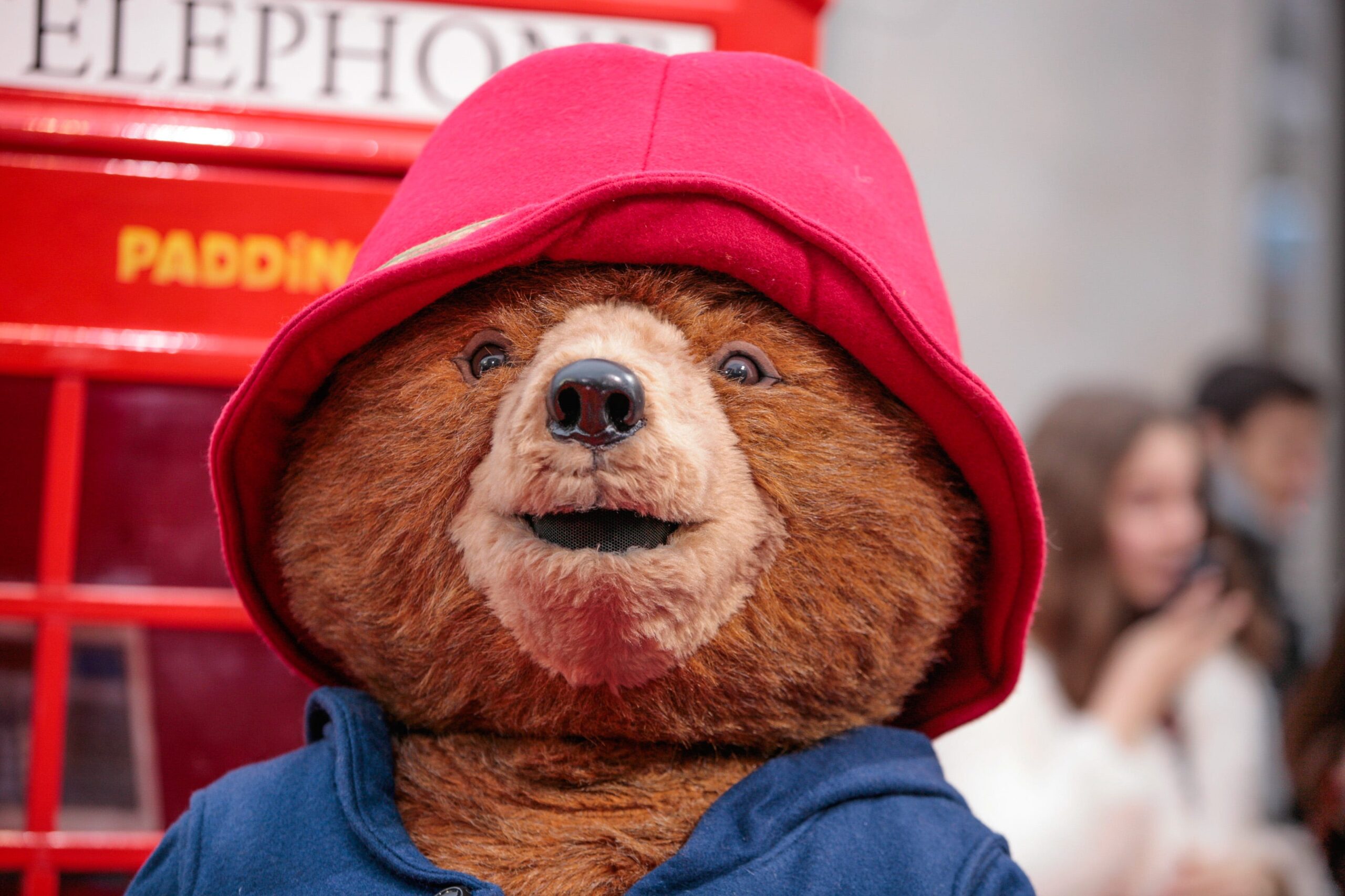 Paddington Bear, heykel hırsızlığı, Newbury, İngiltere, Thames Valley Polisi, suç, kriminal hasar, mahkeme, marmelatlı sandviç, Paddington in Peru filmi, Michael Bond, oyuncak ayı, Paddington İstasyonu, Mr. Brown, Mrs. Brown, 32 Windsor Gardens, Jonathan, Judy, Mrs. Bird, animasyon filmleri, Peru'lu ayı
