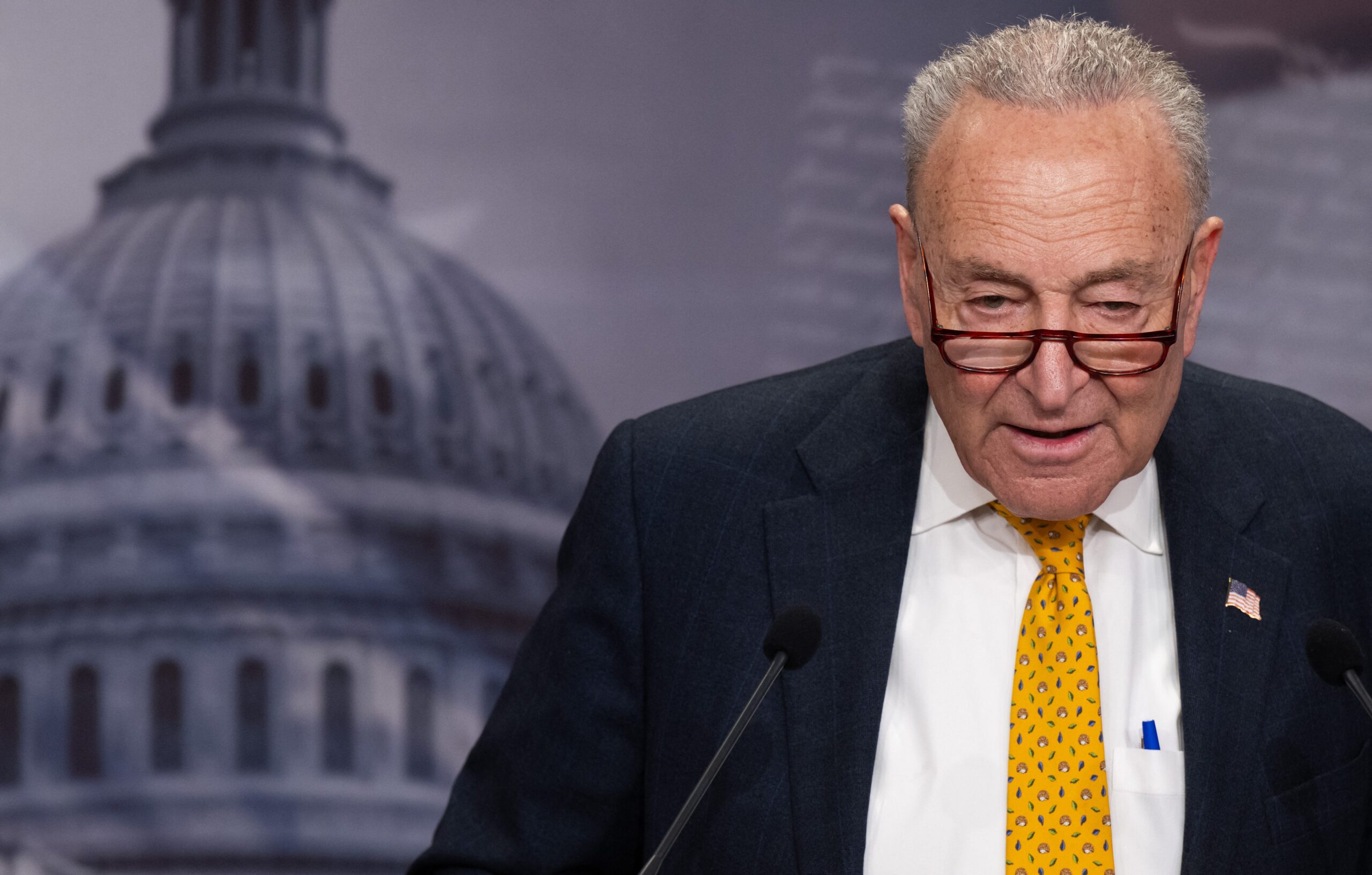 Donald Trump, Elon Musk, DOGE, federal işten çıkarmalar, federal personel, Chuck Schumer, Hakeem Jeffries, Tina Smith, Grace Meng, Ritchie Torres, ABD hükümeti, devlet daireleri, bütçe kesintileri, siyaset, Demokratlar, Kongre, joint session, işsizlik, askeri gaziler, kırsal kalkınma, milli parklar, orman hizmetleri, sağlık araştırması, USAID, FDA, anket, CBS News, YouGov, NPR, PBS News, Marist, seçim kayıpları

