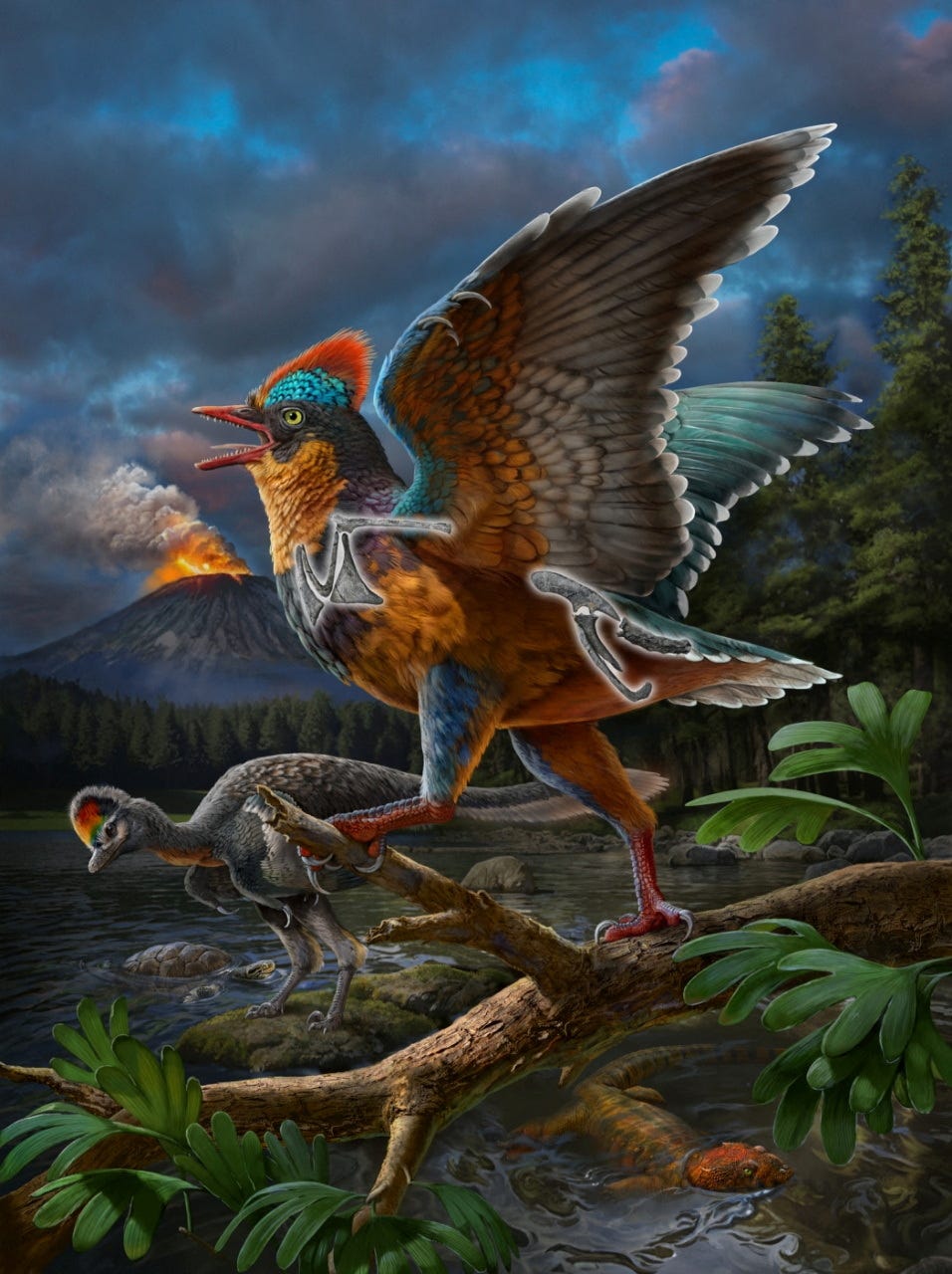 kuş fosili, Baminornis zhenghensis, Archaeopteryx, kuş evrimi, Jurassic dönemi, dinozorlar, paleontoloji, Institute of Vertebrate Paleontology and Paleoanthropology (IVPP), fosil keşfi, Steve Brusatte, Edward Braun, kuş genomu, doğal seçilim, Çin, Fujian Eyaleti, kuş çeşitliliği, kuş kuyruğu, bilimsel araştırma, Nature dergisi
