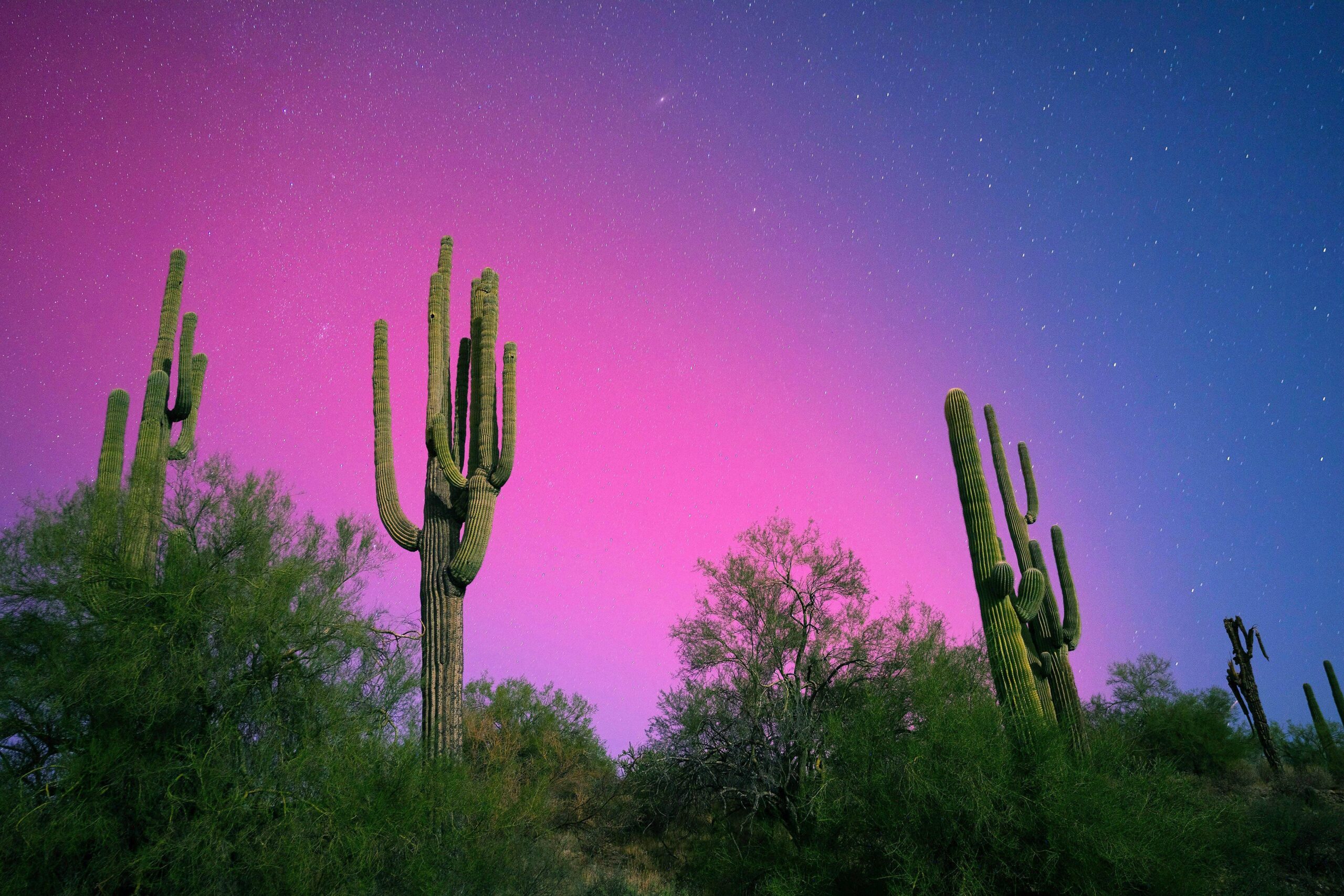 kuzey ışıkları, aurora borealis, güneş döngüsü, güneş maksimumu, jeomanyetik fırtına, uzay havası, NOAA, Uzay Hava Tahmin Merkezi, güneş lekeleri, güneş patlamaları, koronal kütle atımı, uydu operasyonları, güç şebekesi, göçmen hayvanlar, Michigan, Maine, Amerika Birleşik Devletleri, tahmin, Erica Grow Cei, Bill Murtagh
