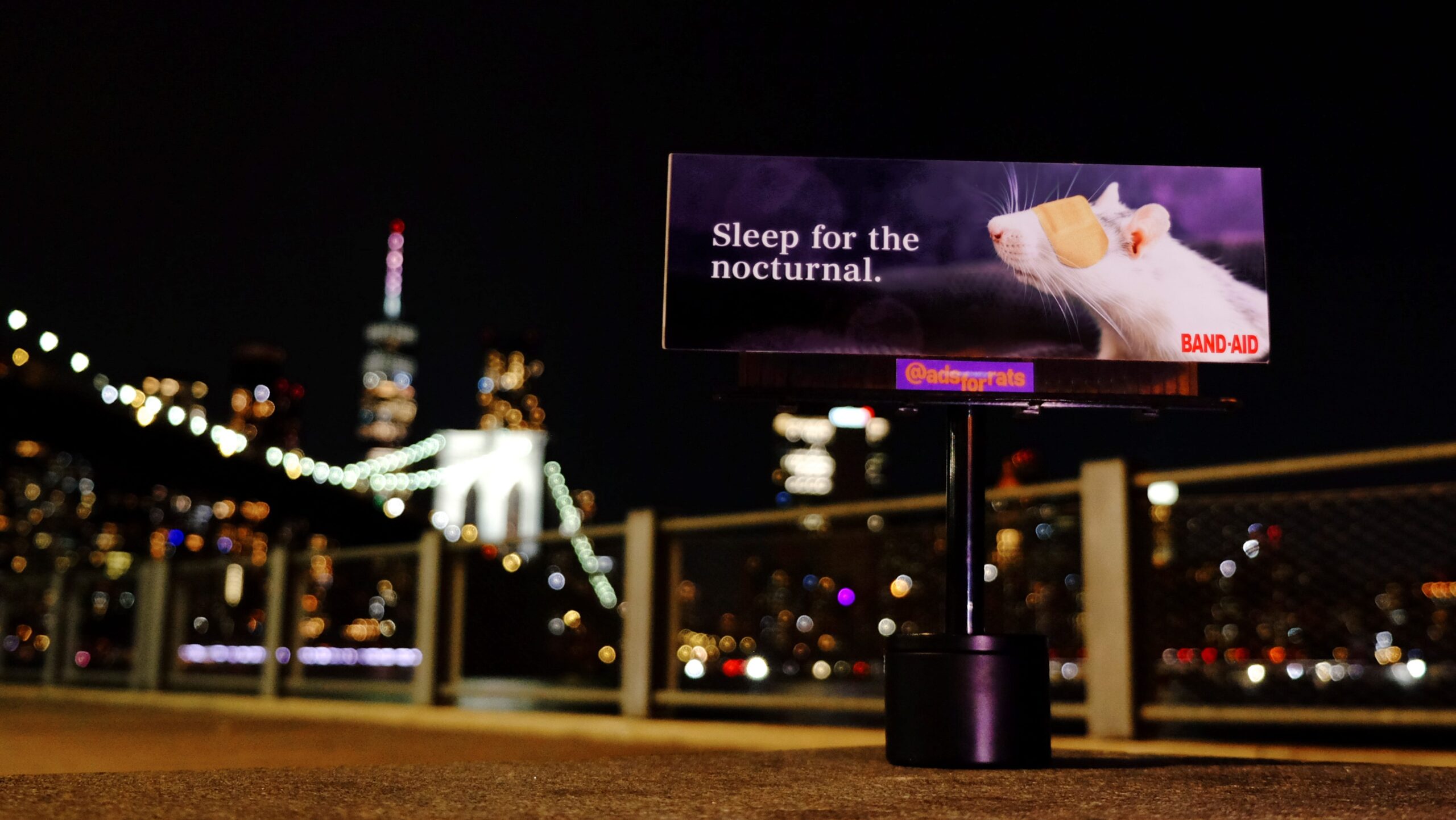 Reklamlar, sıçanlar, New York City, reklamcılık, pazarlama, yaratıcılık, VCU Brandcenter, öğrenci projesi, billboard, Henry Coffey, Callum Leitenberg, Boyan Zlatarski, Emma Kerencheva, Alex Ward, sıçan sorunları, şehir yaşamı, halk sağlığı, viral pazarlama, USA TODAY, Greta Cross
