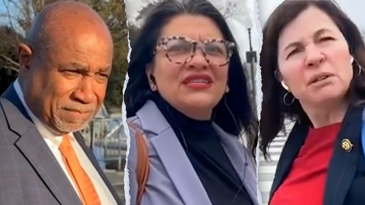 Kadın tanımı, Demokratlar, Cinsiyet, Biyolojik cinsiyet, Donald Trump, Kadınlar Tarihi Ayı, Amerika Rising, Kongre, Payton McNabb, Trans atletler, Kadın sporları, Cinsiyet ayrımı, Toplumsal cinsiyet ideolojisi
