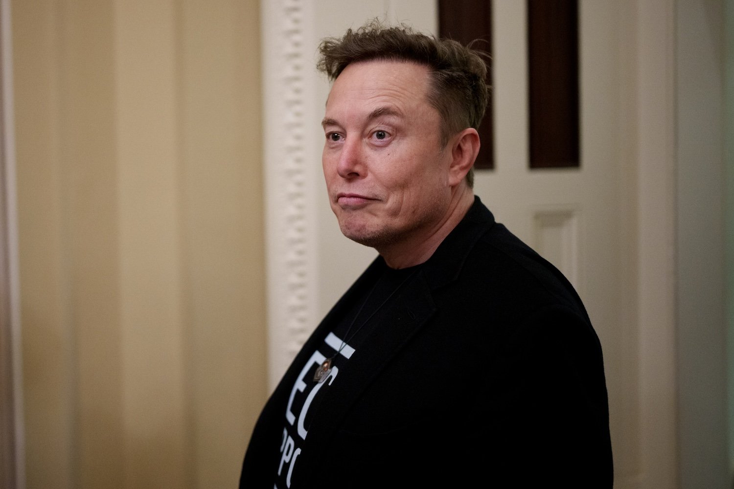 Elon Musk, Özelleştirme, ABD Posta Servisi, Amtrak, Oligarşi, DOGE, Ulaştırma, Demiryolu, Hyperloop, Donald Trump, Kongre, Finansman, SpaceX, ABD Anayasası, Posta Maddesi, Eğitim Bakanlığı, Siyaset, Ekonomi
