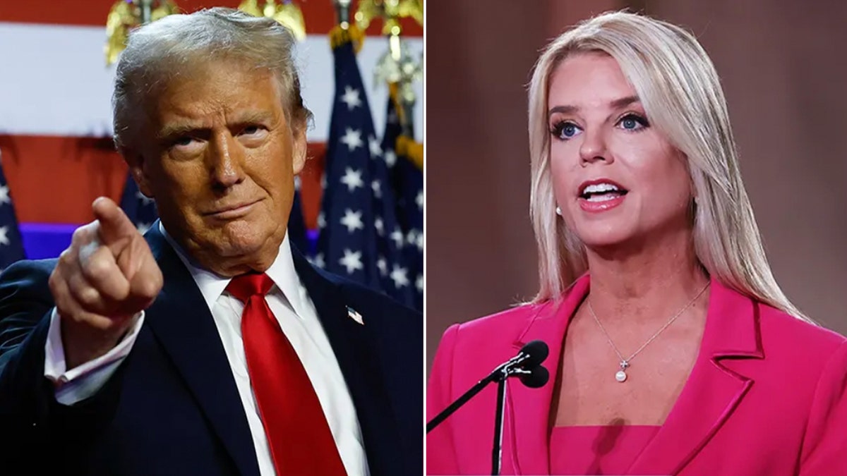Donald Trump, ABD, yasalar, yürütme emirleri, ihtiyati tedbir, mali garanti, dava, aktivist gruplar, mahkeme, Adalet Bakanlığı, Pam Bondi
