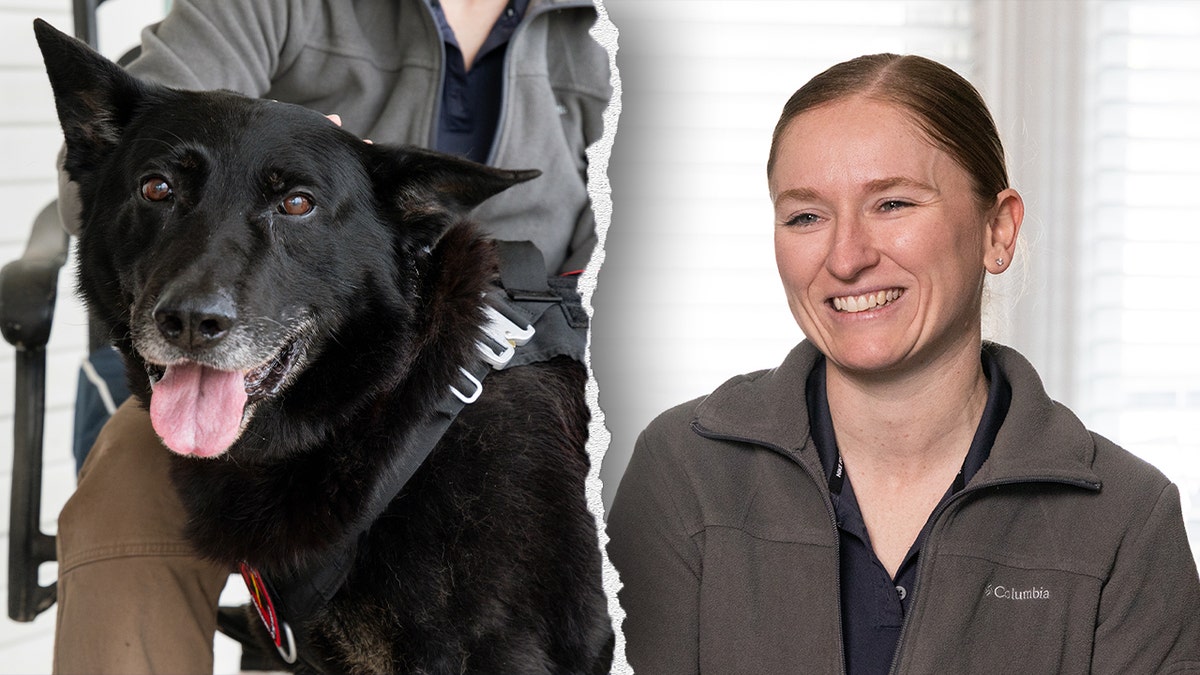 K-9 Frenky, Alman Çoban Köpeği, Askeri Çalışma Köpeği, MWD, Amerikan Humane Topluluğu, AHS, Köpek Birleşimi, Patlayıcı Madde Tespiti, Isırma Eğitimi, Kristin Vanderzanden, Ordu Personel Çavuşu, Savaş Gazisi, Askeri Köpek Emekliliği, Afganistan, Irak, Gizli Servis, Başkanlık Koruma, Veteran, Evlat Edinme, Köpek Bakımı, Köpek Sağlığı, Fort Johnson, Fort Drum, San Antonio
