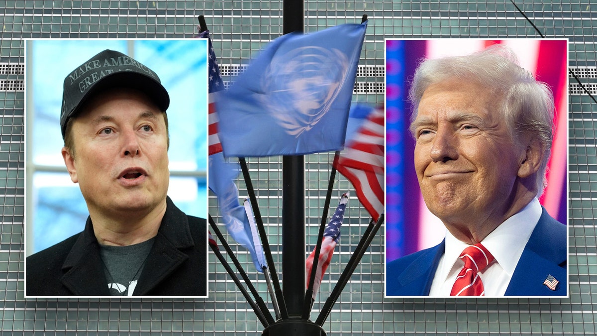 Based on the article, here are some meta keywords in Turkish, separated by commas:

Donald Trump, Elon Musk, DOGE, USAID, Birleşmiş Milletler, UNDSS, Güvenlik, Bütçe Kesintisi, Finansman, ABD Desteği, António Guterres, personel azaltımı, Birleşmiş Milletler Personeli, Dış Yardım, Dışişleri Bakanlığı, Birleşmiş Milletler Reformu, Mali Kriz, UN80 İNİSİYATİFİ, Uluslararası Güvenlik, Fox News, Haberler, politika, Birlesmis Milletler Güvenlik Departmanı, BM finansmanı
