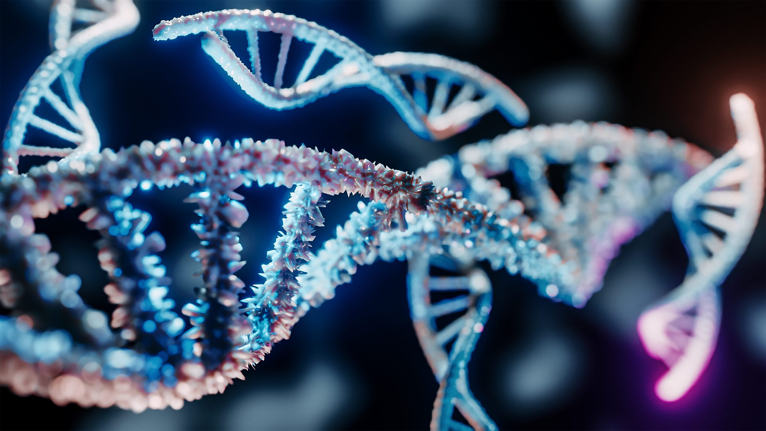 Dorothy Williams, Jane Doe, Othram, adli genetik soybilim, tanımlanamayan ceset, çözülmemiş gizem, California, Tiburon, cinayet, kayıp kişi, DNA profili, Mt. Tamalpais Mezarlığı, Marin County Şerif Ofisi, Avustralya, Tazmanya
