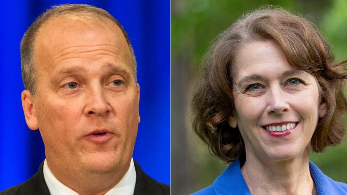 Wisconsin Supreme Court election, Susan Crawford, Brad Schimel, George Soros, Elon Musk, political donations, campaign finance, redistricting, judicial activism, partisan politics, Wisconsin Democrats, Wisconsin Republicans, voter ID law, transgender issues, Act 10, campaign ads, rape kits, Bernie Sanders, oligarchs
