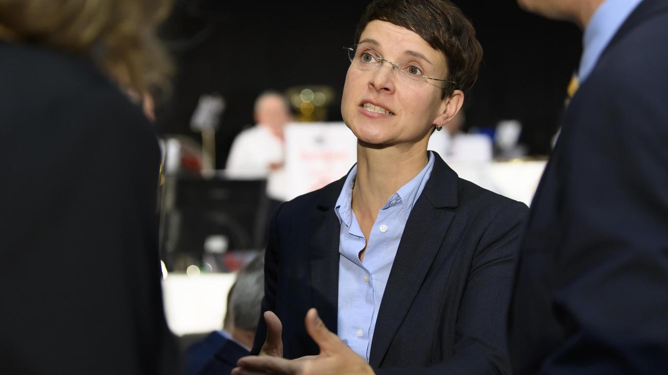 Frauke Petry, yeni parti, Die Blaue, AfD, Team Freiheit, antietatizm, özgürlük, kültürel Batı bağı, devlet kotası, Baden-Württemberg, Rheinland-Pfalz, seçimler, siyaset, Bernd Lucke, Björn Höcke, Alice Weidel, bağımsız milletvekili, parti kurucusu, girişimci, siyasi katılım
