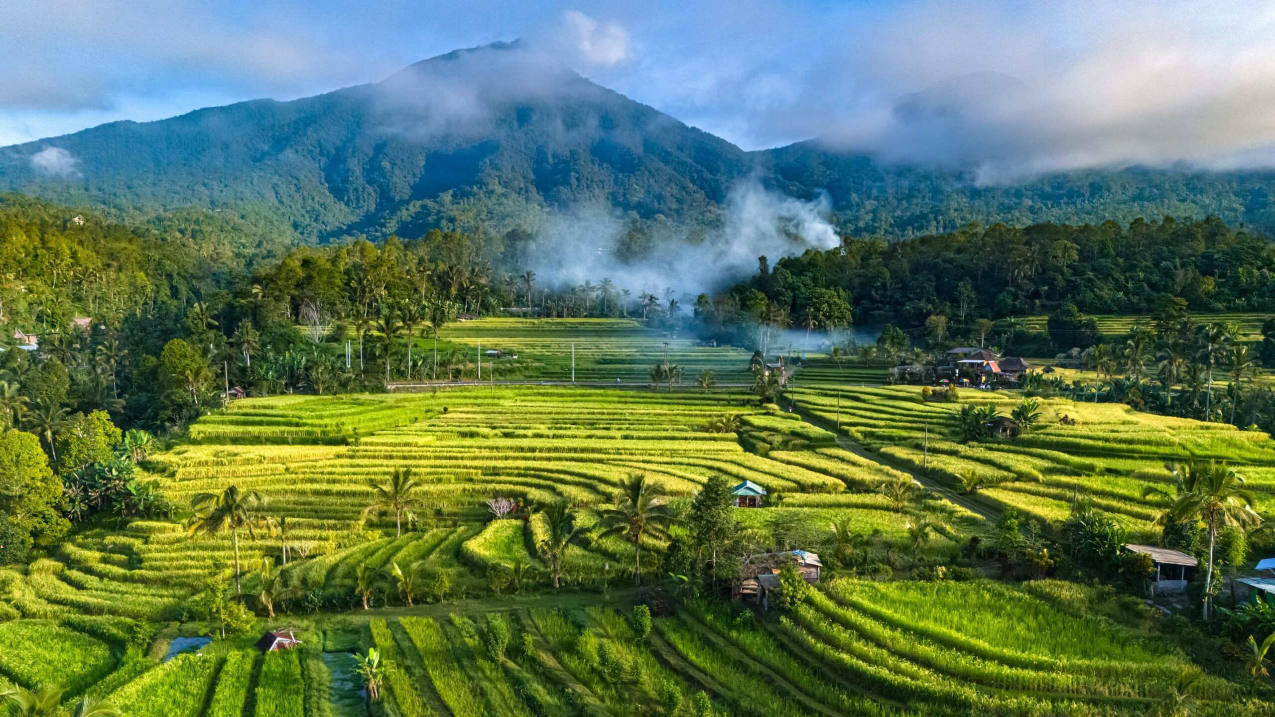 Bali, elektrik kesintisi, Endonezya, turizm, havaalanı, trafik, Perusahaan Listrik Negara, PLN, I Wayan Eka Susana
