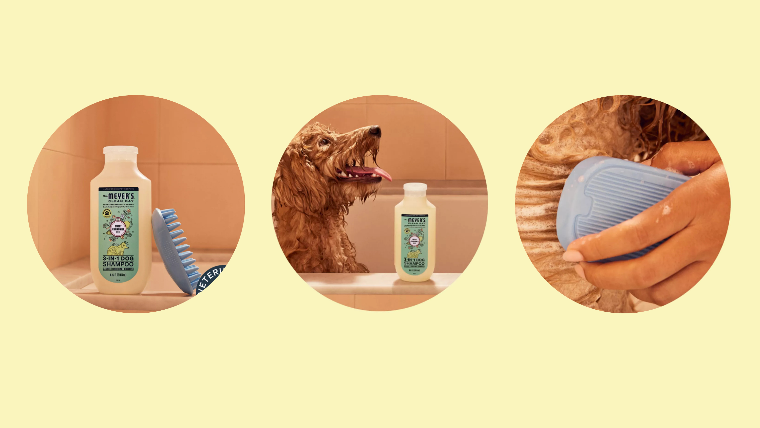 köpek şampuanı, evcil hayvan şampuanı, Mrs. Meyers, PetSmart, köpek kokusu giderme, doğal köpek şampuanı, çevre dostu köpek şampuanı, indirim, promosyon kodu, evcil hayvan ürünleri, köpek bakımı, Treats Rewards, köpek ödülleri, köpek maması, Bil-Jac, The Farmers Dog, Ulusal Evcil Hayvan Günü
