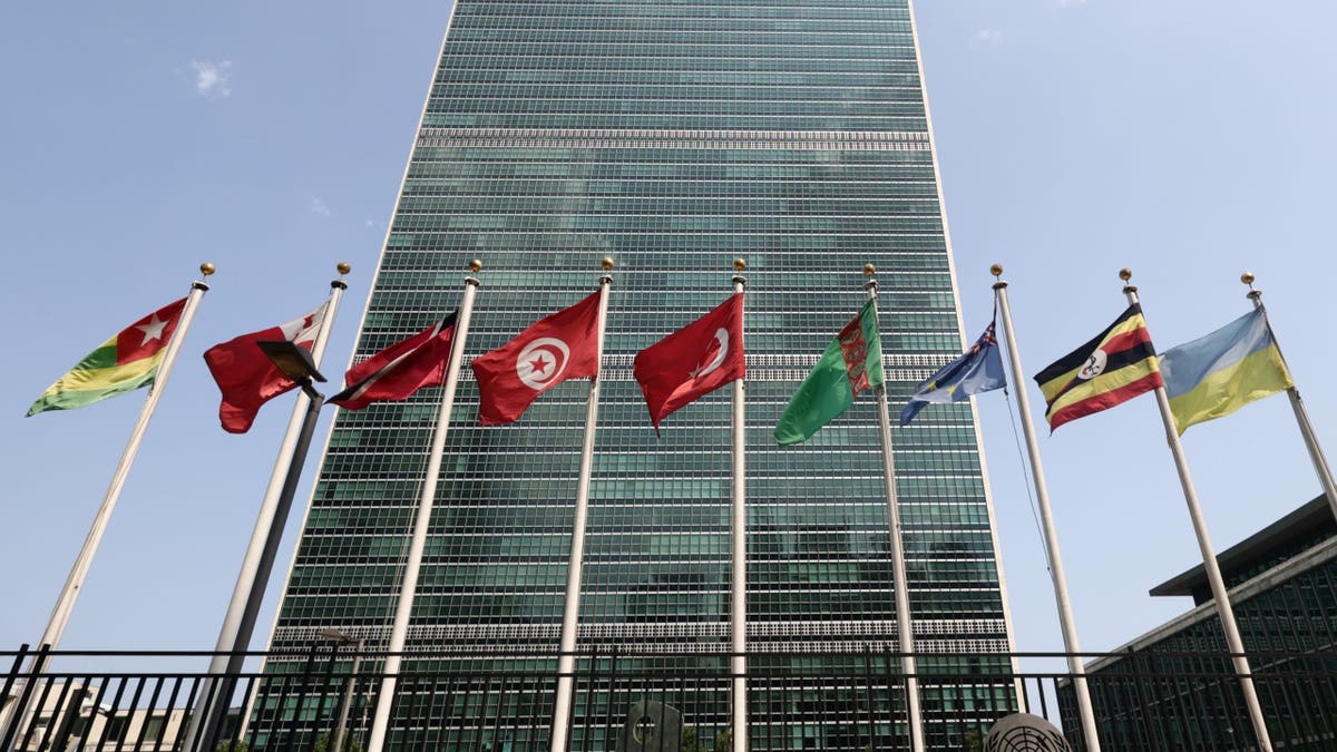 BM, Birleşmiş Milletler, UN80, António Guterres, reform, yeniden yapılanma, verimlilik, bütçe kesintileri, uluslararası örgütler, Hugh Dugan, ABD katkıları, sekreter-general seçimi, bürokrasi, denetim, yönetişim, kaynak yönetimi, insan kaynakları, performans ölçütleri, güven oluşturma, üye devletler, çok taraflı işbirliği, Dışişleri Bakanlığı, Beyaz Saray Bütçe Yönetimi Ofisi, Farhan Haq, Stéphane Dujarric, Birleşmiş Milletler 80. Yıldönümü, UN80 Görev Gücü, jeopolitik değişimler, dış yardım, meşruiyet, etkinlik, görev çakışmaları, hizmet sunumu, barış ve güvenlik, insani yardım, insan hakları, sürdürülebilir kalkınma, Birleşmiş Milletler kalkınma sistemi

