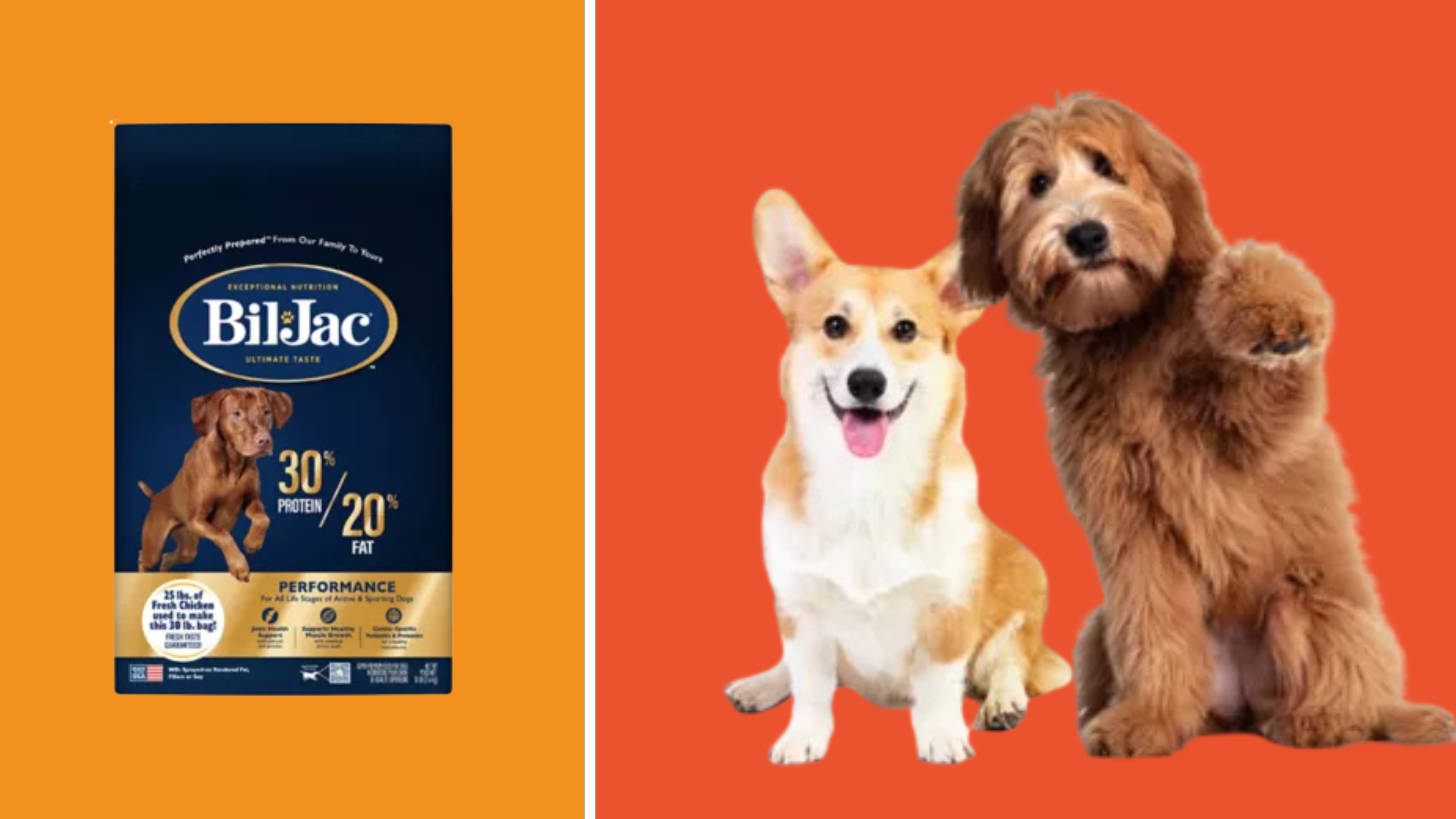 Evcil hayvanlar, köpek maması, Ulusal Evcil Hayvan Ayı, PetSmart, Bil-Jac 30/20 Performans Köpek Maması, köpek yatağı, evcil hayvan indirimleri, köpek sahiplenme, evcil hayvan bakımı, Treats Ödül programı, köpek sağlığı, aktif köpekler, spor köpekleri, çalışan köpekler, köpek maması geçişi, köpeklerde ishal, köpeklerde kusma, Amazon Evcil Hayvan Günü, Wayfair Way Günü, Serta köpek yatağı, evcil hayvan etkinlikleri, barınaklar, evcil hayvan organizasyonları, köpek protein, köpek yağı, kalsiyum, probiyotikler, omega 3, omega 6, C vitamini, E vitamini, köpek kas gelişimi
